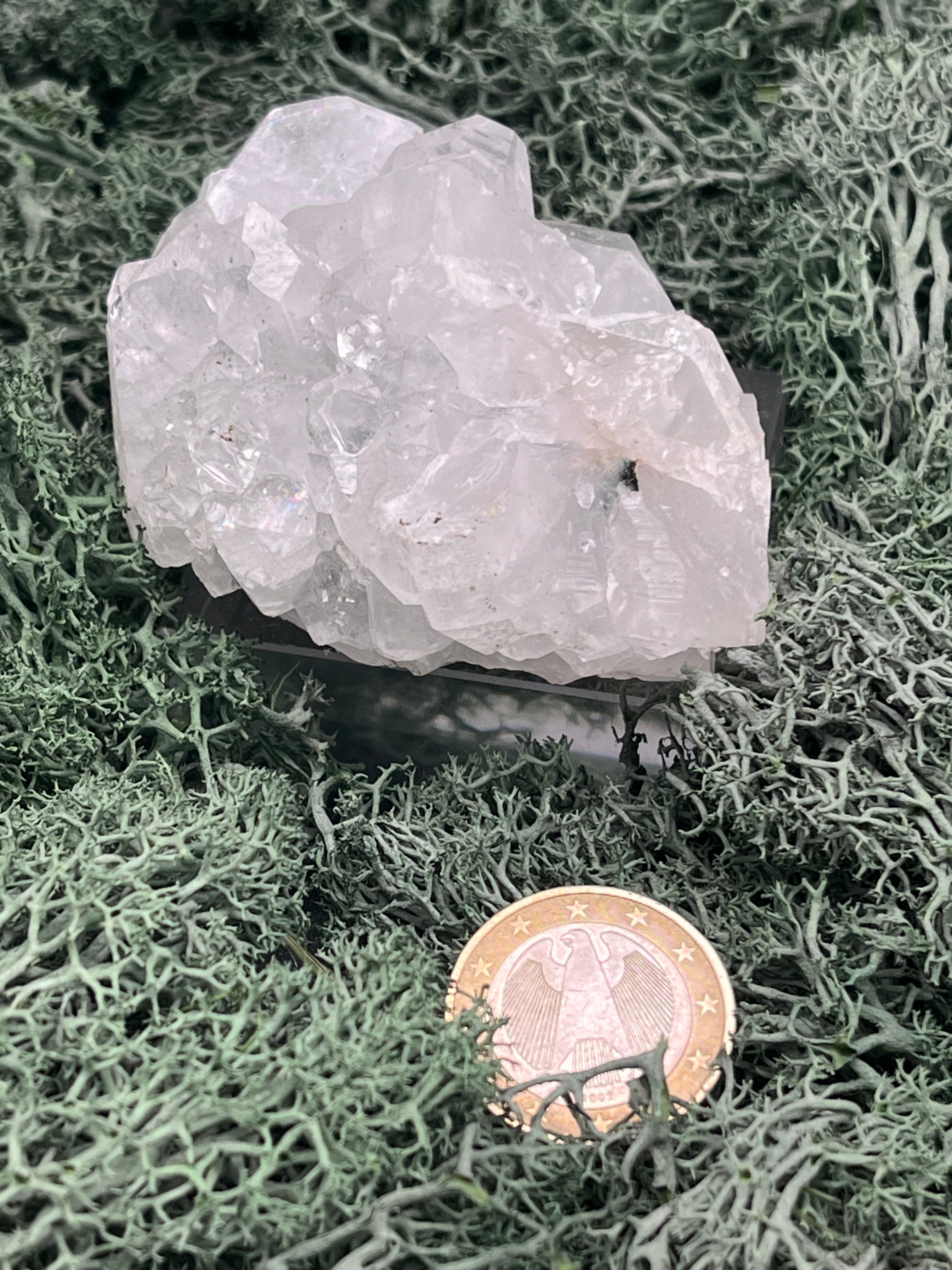 Apophyllit Stufe aus Indien (144g) - schöne grosse Kristalle - crystal paradise