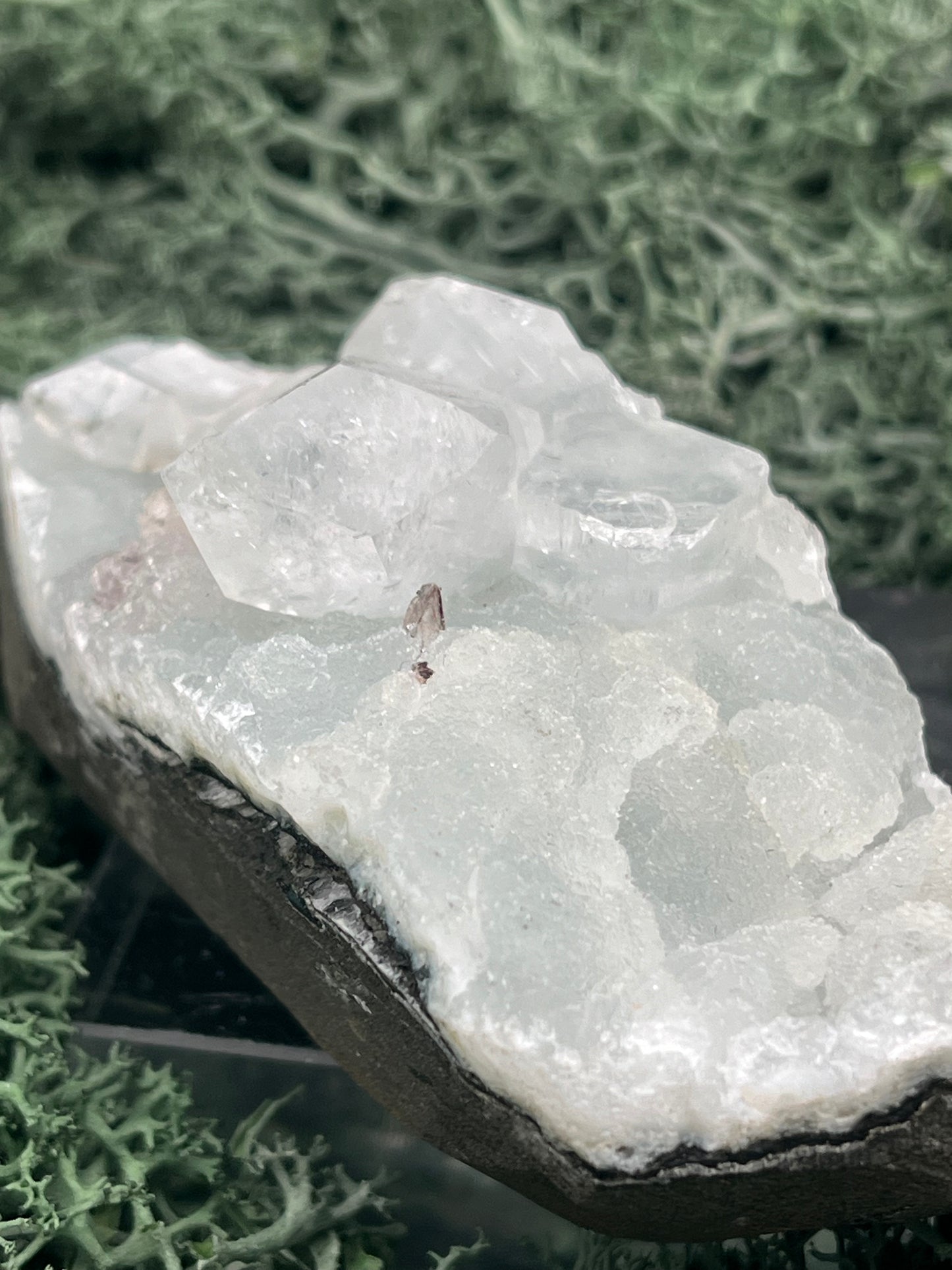 Apophyllit Stufe aus Indien (126g) - schöne grosse Kristalle - crystal paradise