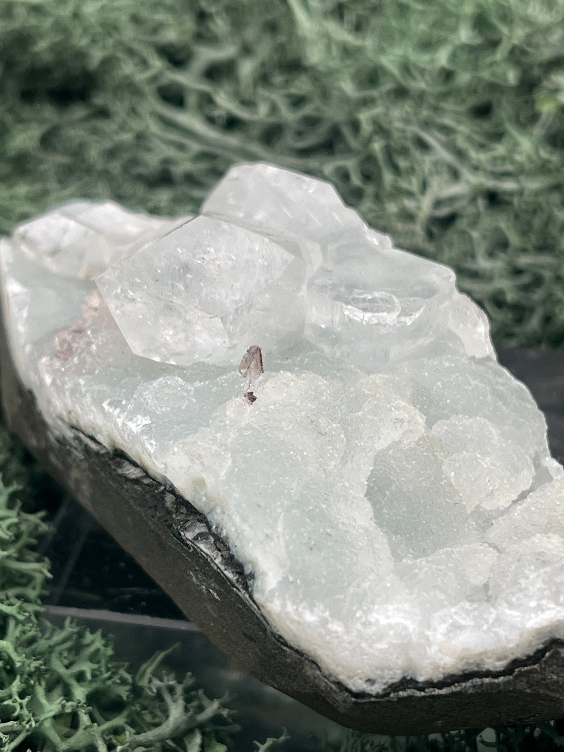 Apophyllit Stufe aus Indien (126g) - schöne grosse Kristalle - crystal paradise