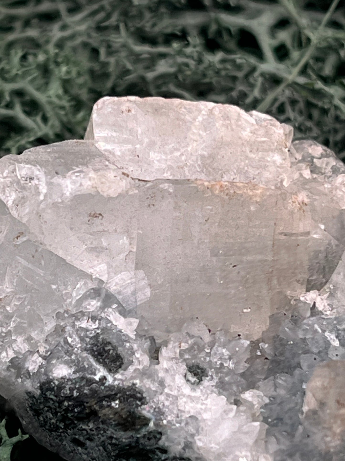 Apophyllit Stufe aus Indien (70g) - schöne grosse Kristalle - crystal paradise