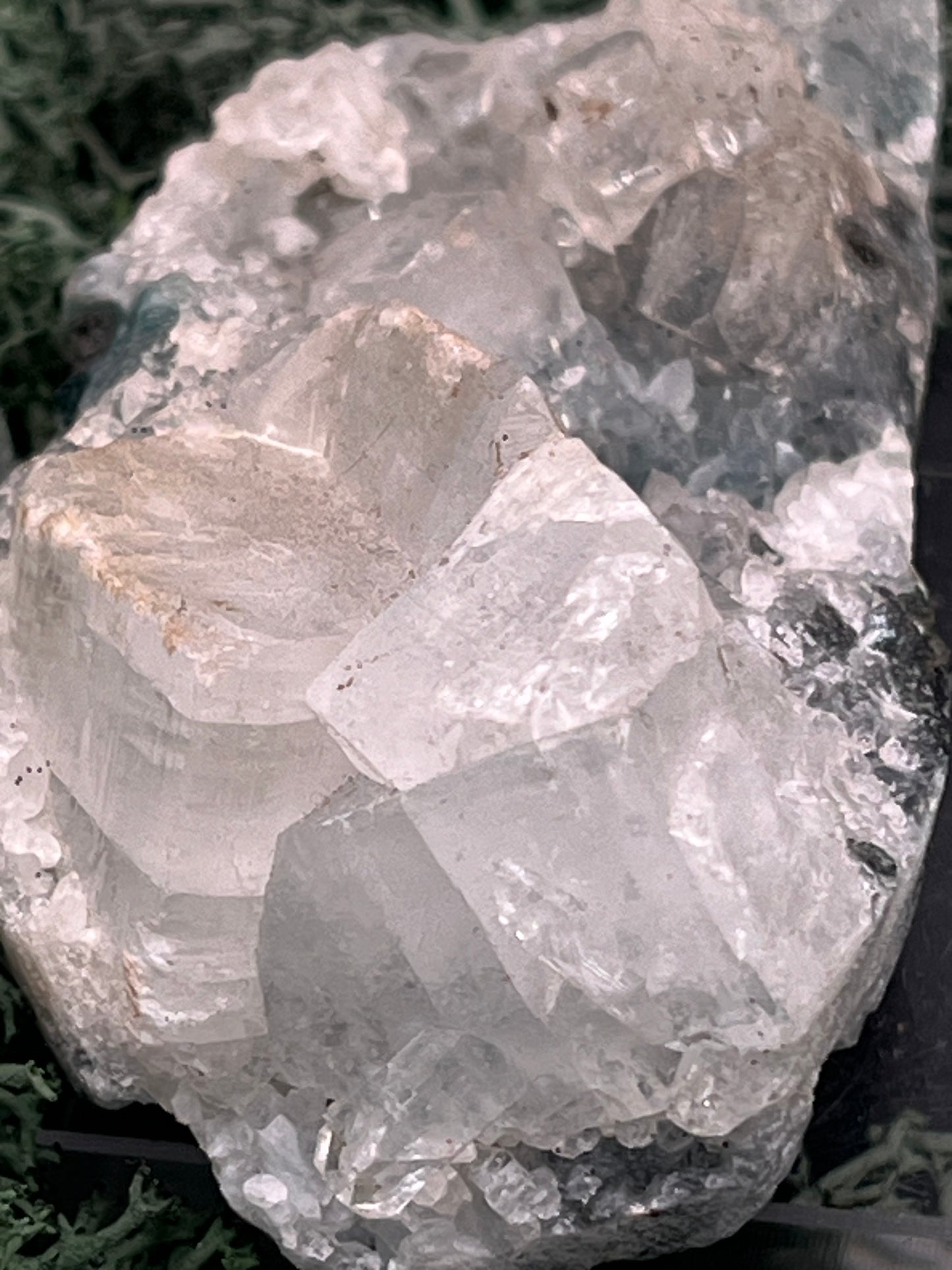 Apophyllit Stufe aus Indien (70g) - schöne grosse Kristalle - crystal paradise