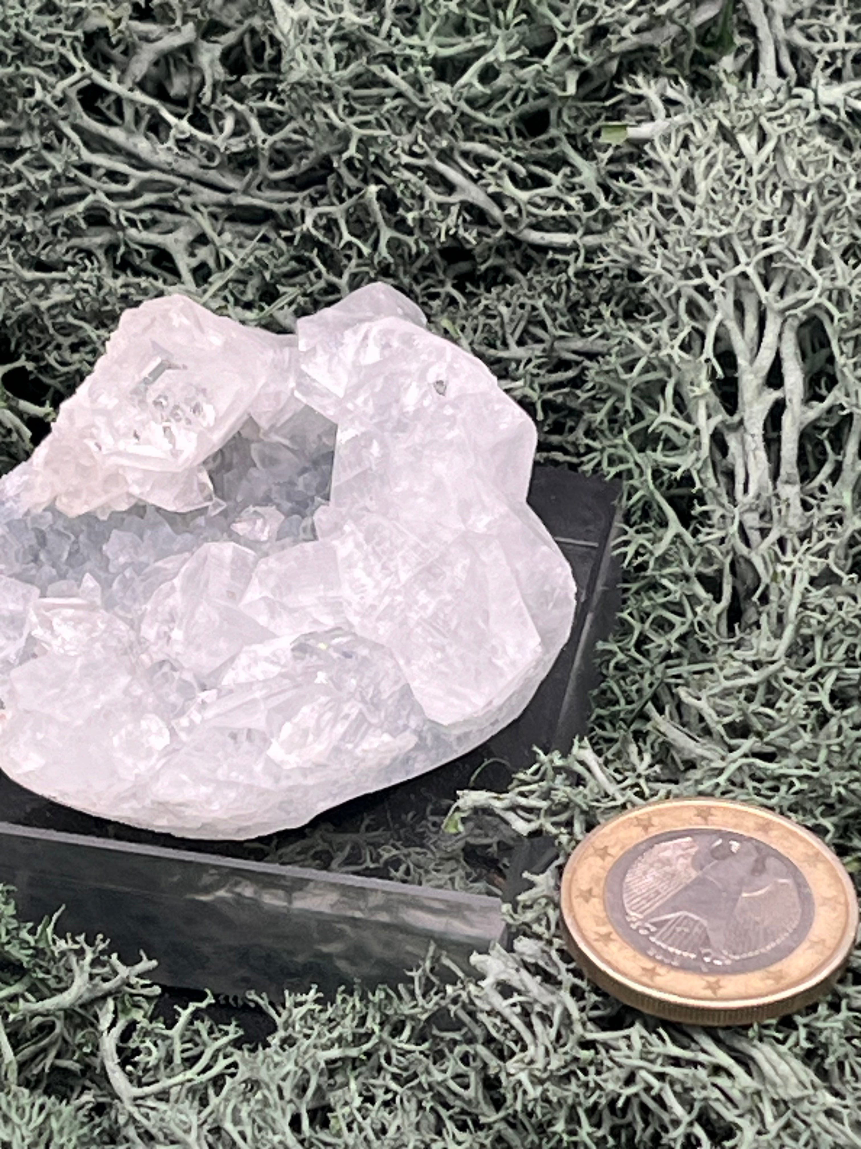 Apophyllit Stufe aus Indien (63g) - schöne grosse Kristalle - crystal paradise