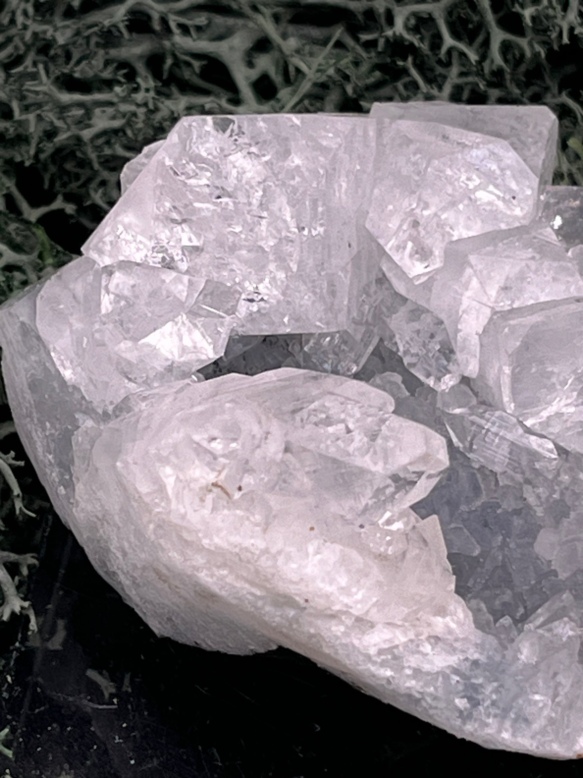 Apophyllit Stufe aus Indien (63g) - schöne grosse Kristalle - crystal paradise
