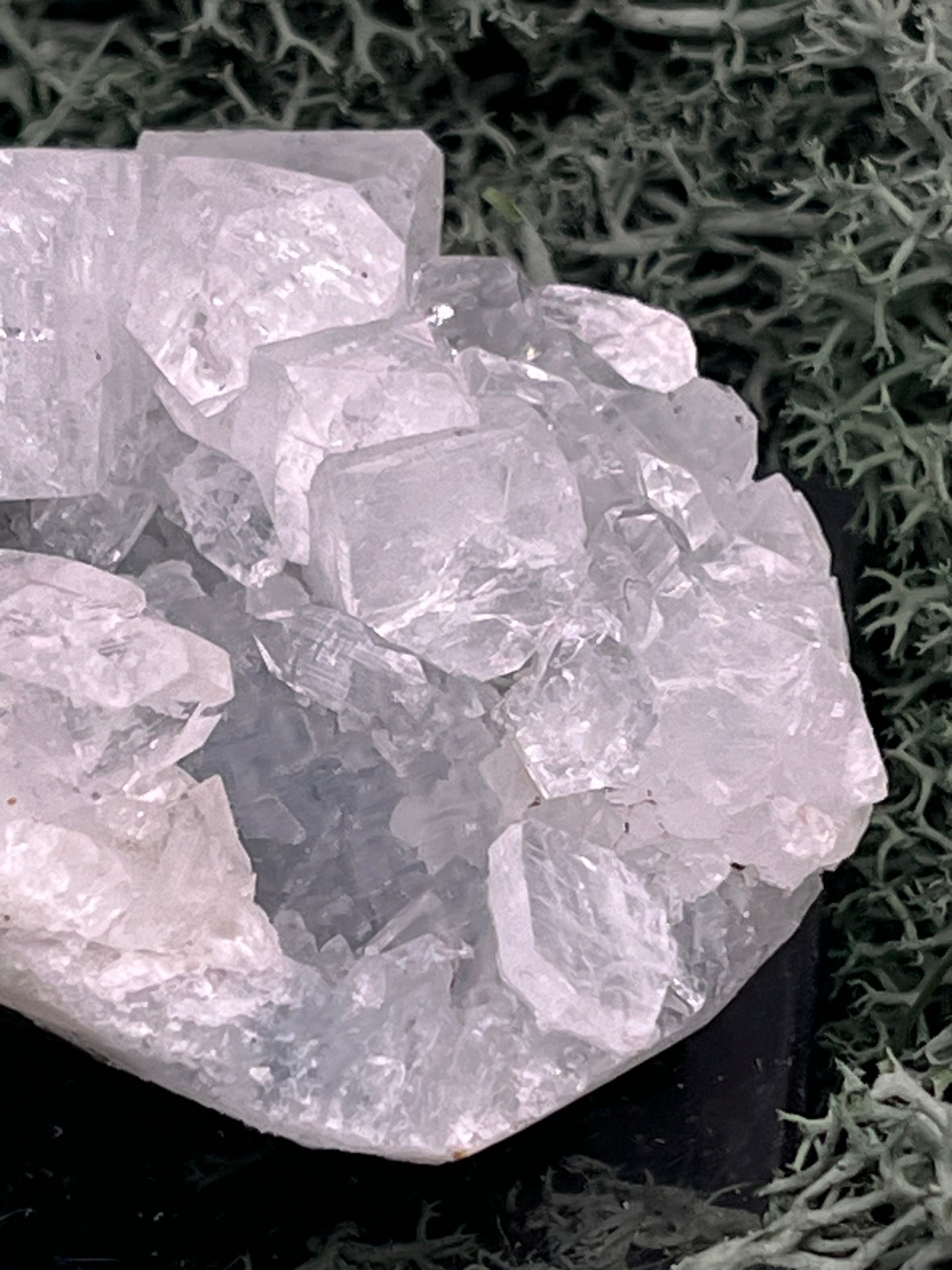 Apophyllit Stufe aus Indien (63g) - schöne grosse Kristalle - crystal paradise