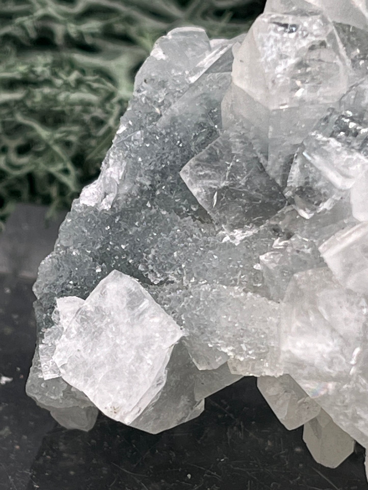 Apophyllit Stufe aus Indien (58g) - sehr schöne grosse Kristalle gut angeordnet - crystal paradise
