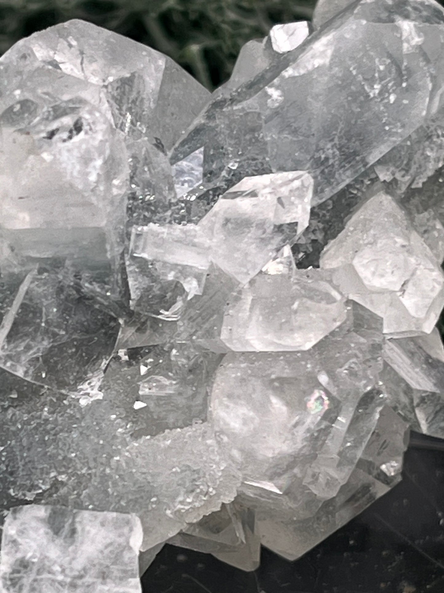 Apophyllit Stufe aus Indien (58g) - sehr schöne grosse Kristalle gut angeordnet - crystal paradise