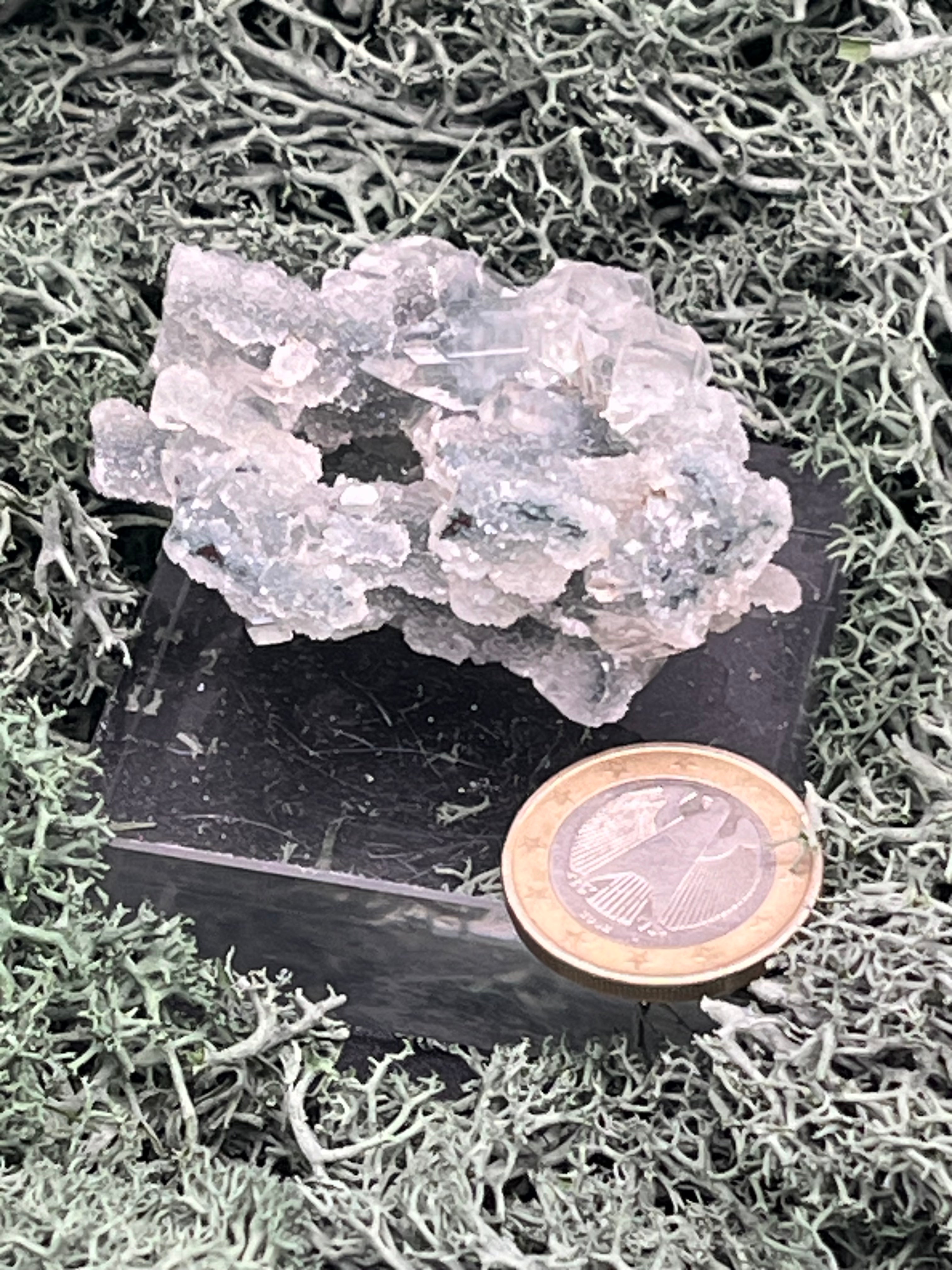 Apophyllit Stufe aus Indien (42g) - sehr schöne grosse Kristalle zusammen mit Sugar Crystals - crystal paradise
