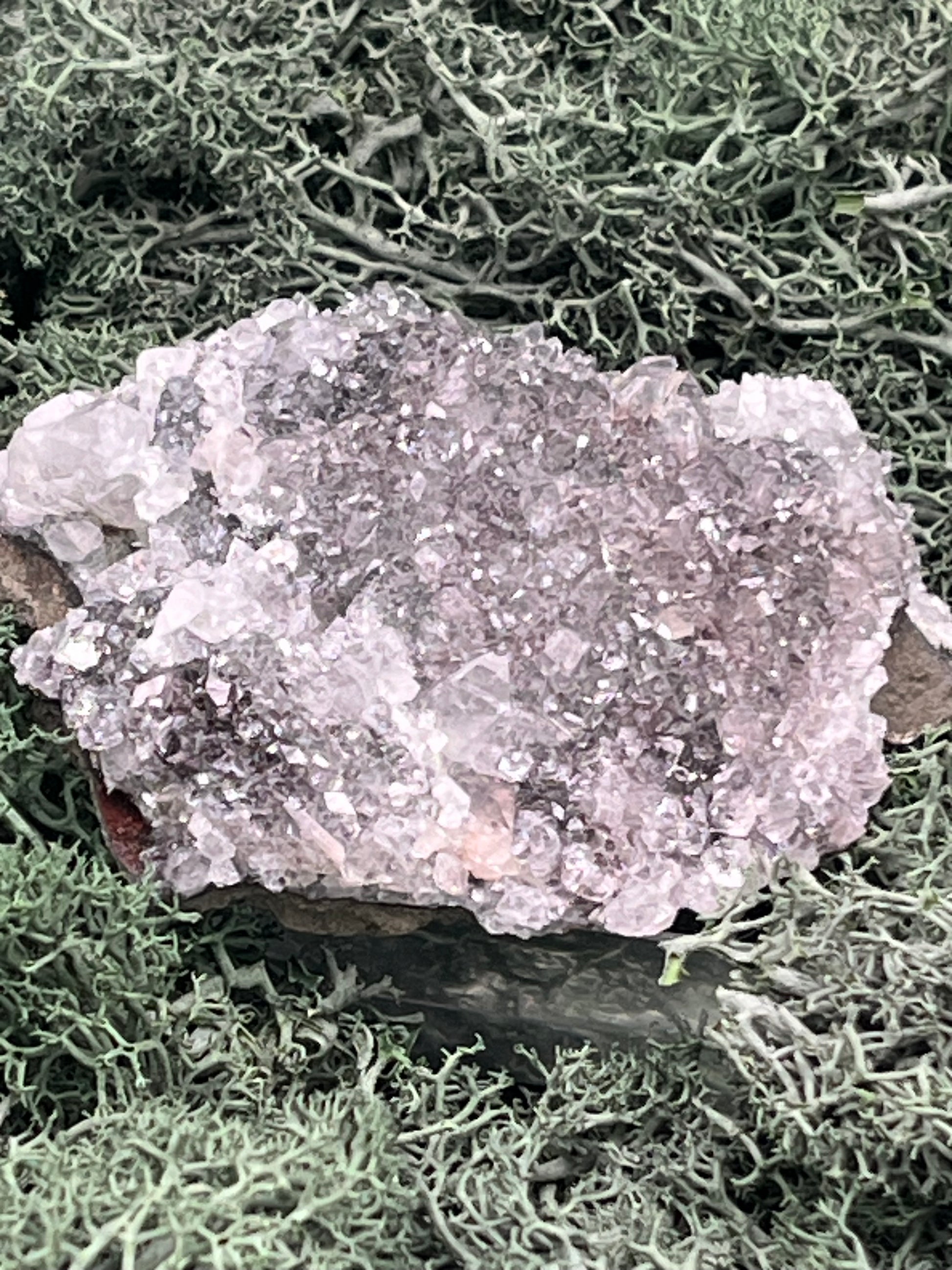 Apophyllit Stufe aus Indien (110g) - viele Kristalle - crystal paradise