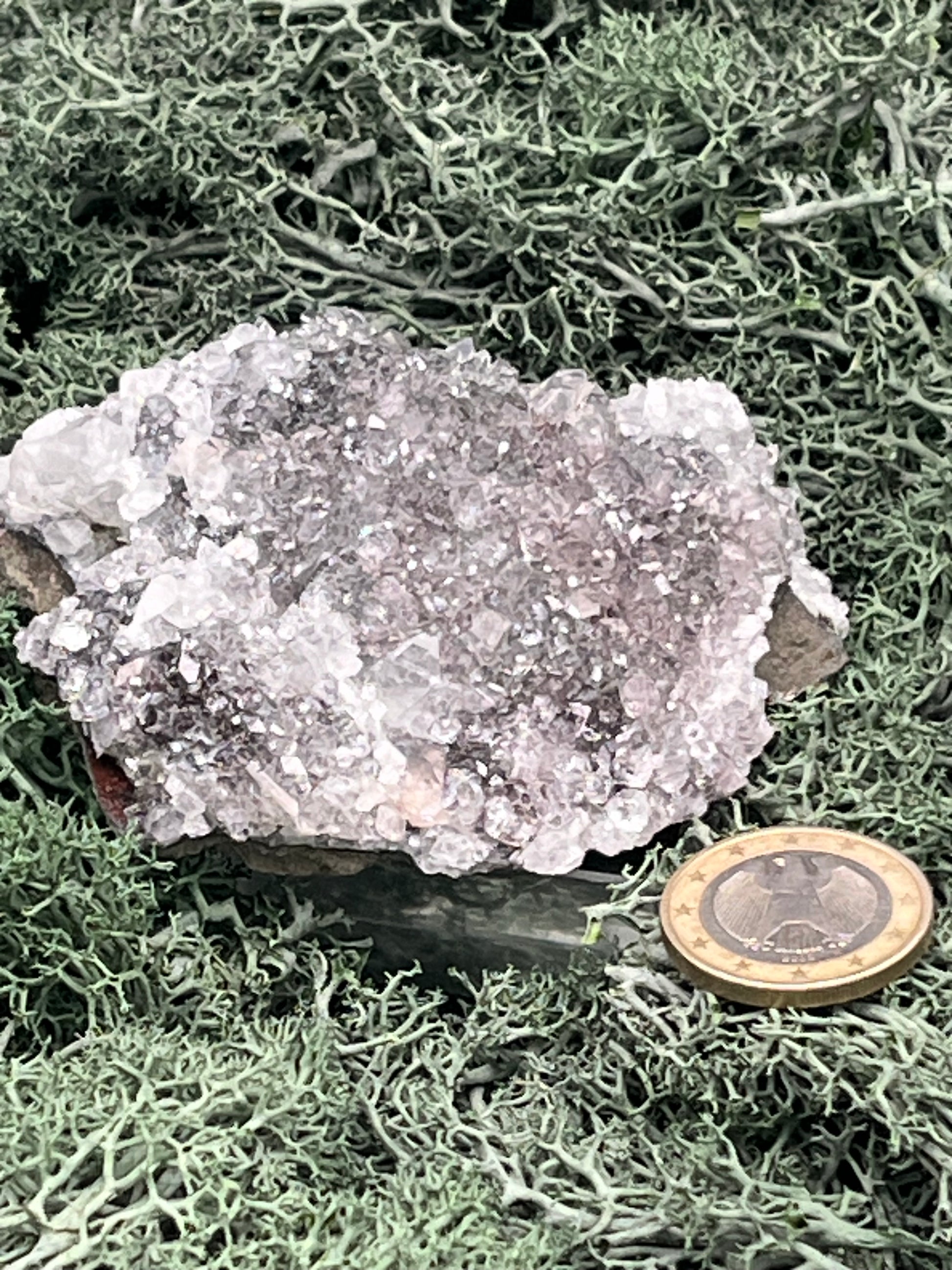 Apophyllit Stufe aus Indien (110g) - viele Kristalle - crystal paradise