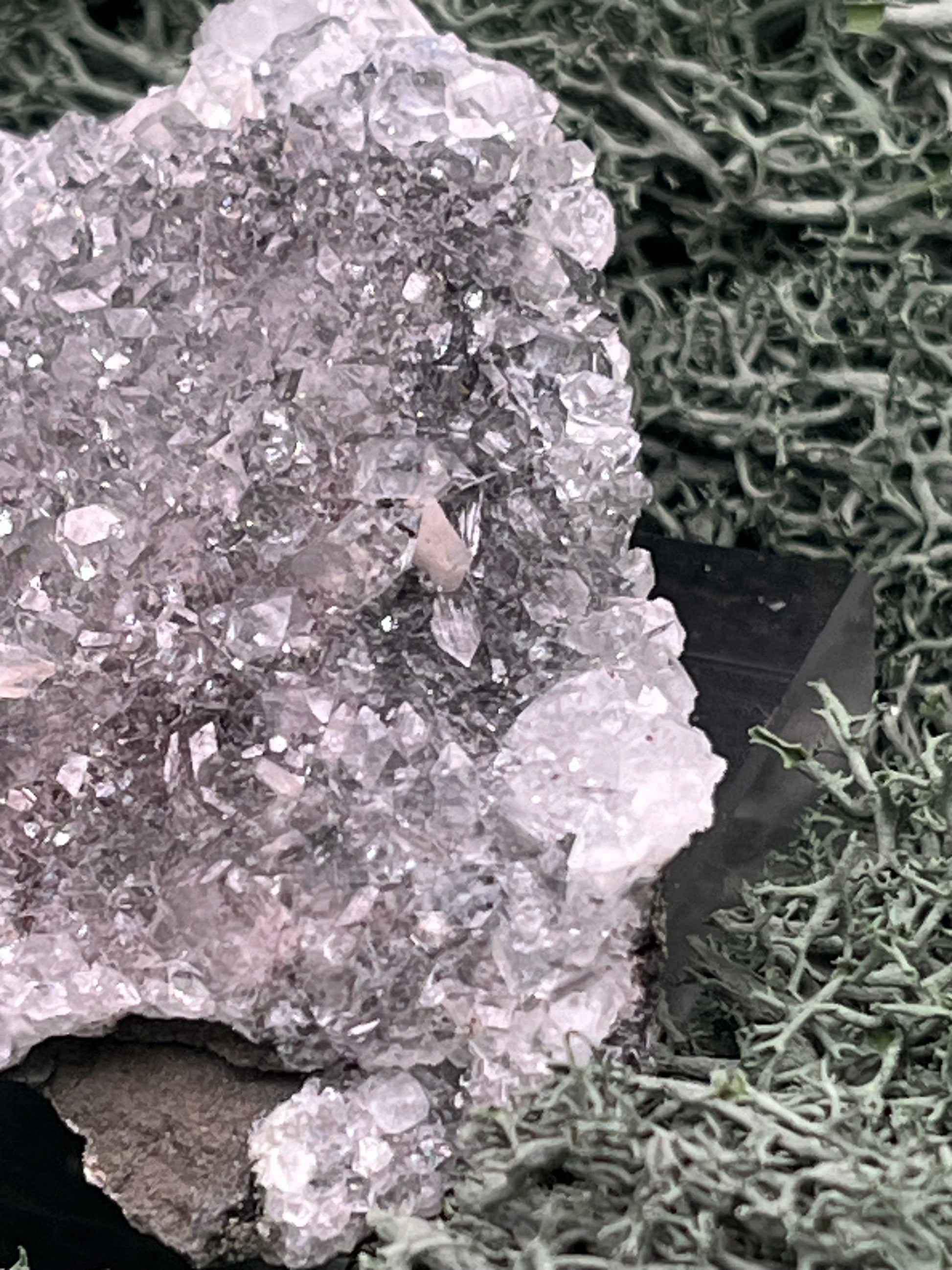 Apophyllit Stufe aus Indien (110g) - viele Kristalle - crystal paradise