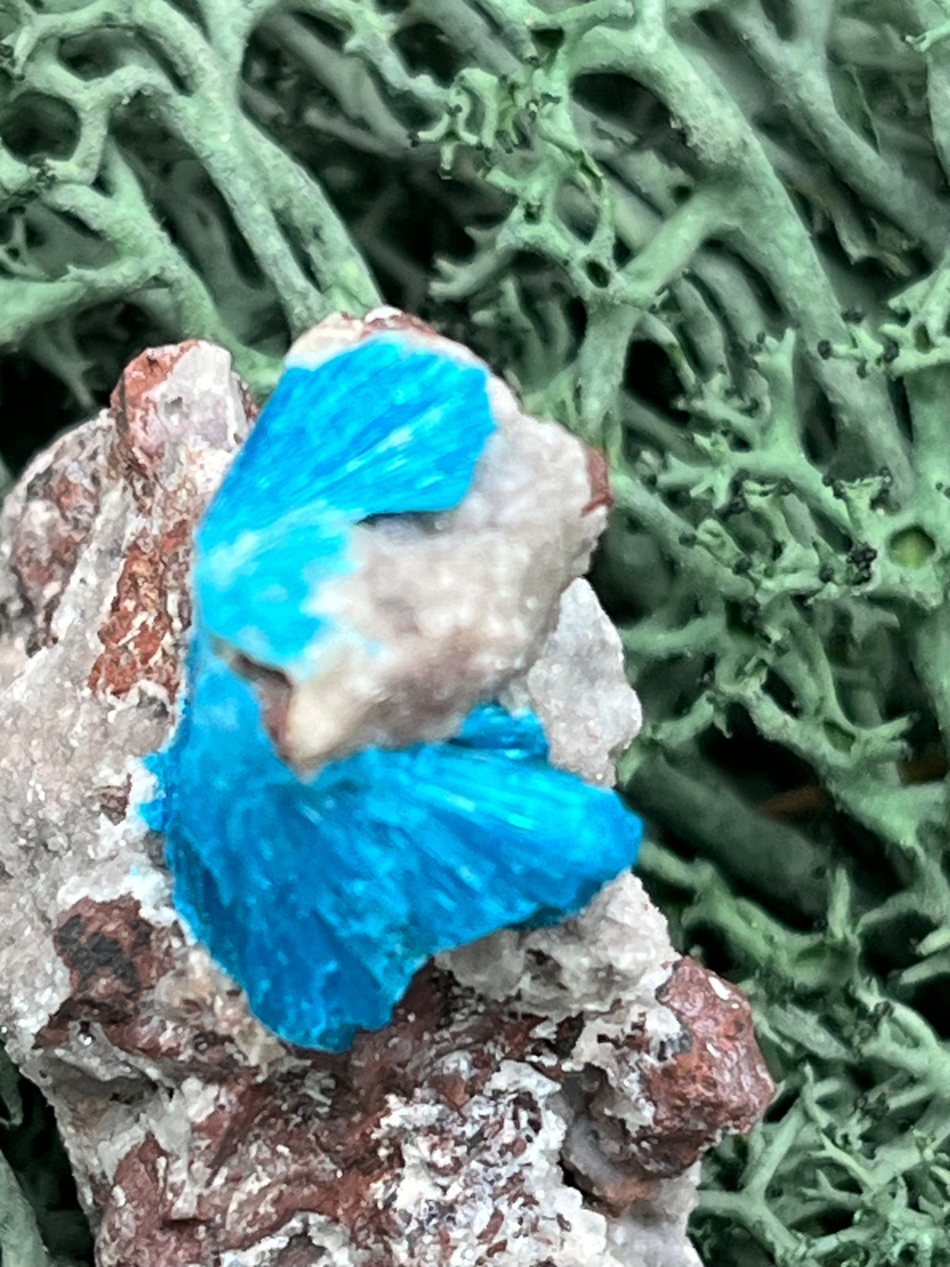 Canvansit auf Stilbit aus Poonah Indien - Stufe - 1 Stück - crystal paradise