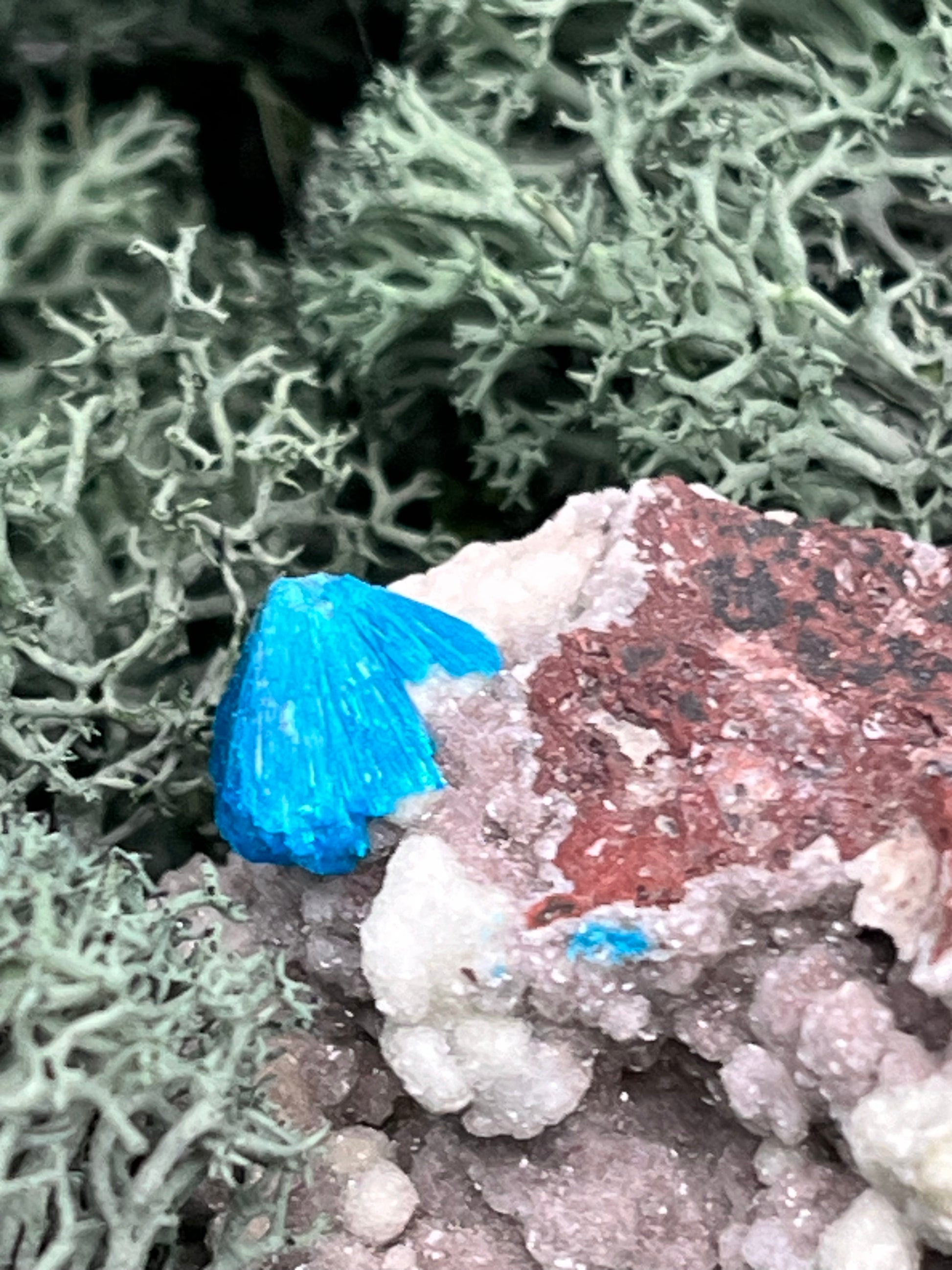 Canvansit auf Stilbit aus Poonah Indien - Stufe - 1 Stück - crystal paradise