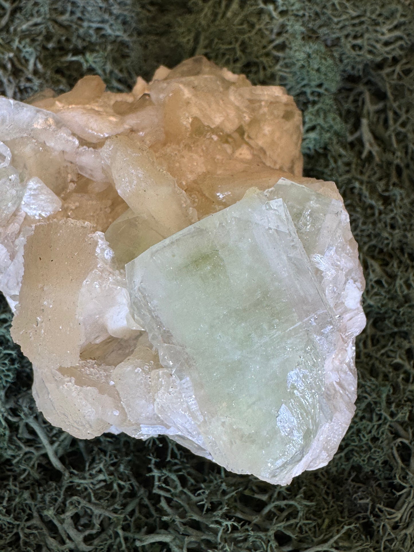 Grüner Apophyllit mit Stilbit Cluster aus Maharashtra, Nashik pune, Indien (416g) - Zuckerstilbit - crystal paradise