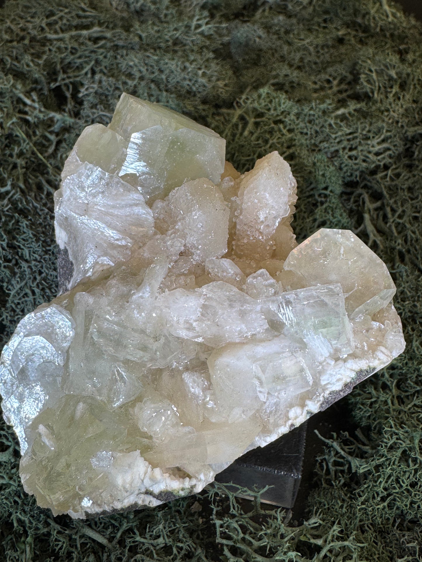 Grüner Apophyllit mit Stilbit Cluster aus Maharashtra, Nashik pune, Indien (416g) - Zuckerstilbit - crystal paradise