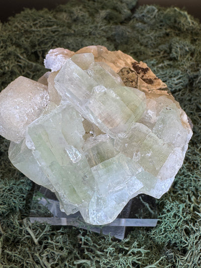 Grüner Apophyllit mit Stilbit Cluster aus Maharashtra, Nashik pune, Indien (348g) - Zuckerstilbit - crystal paradise