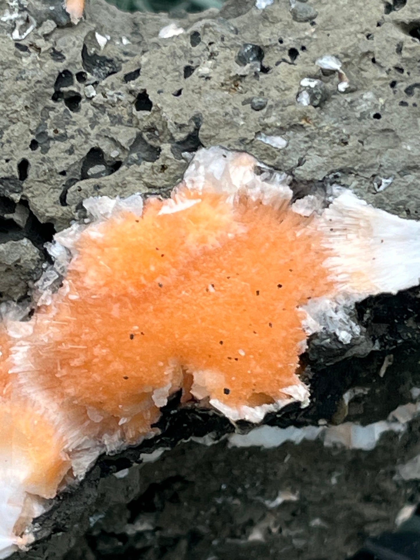 Thomsonit aus Indien (638g) - Stufe - leuchtend orange Farbe auf Muttergestein - crystal paradise