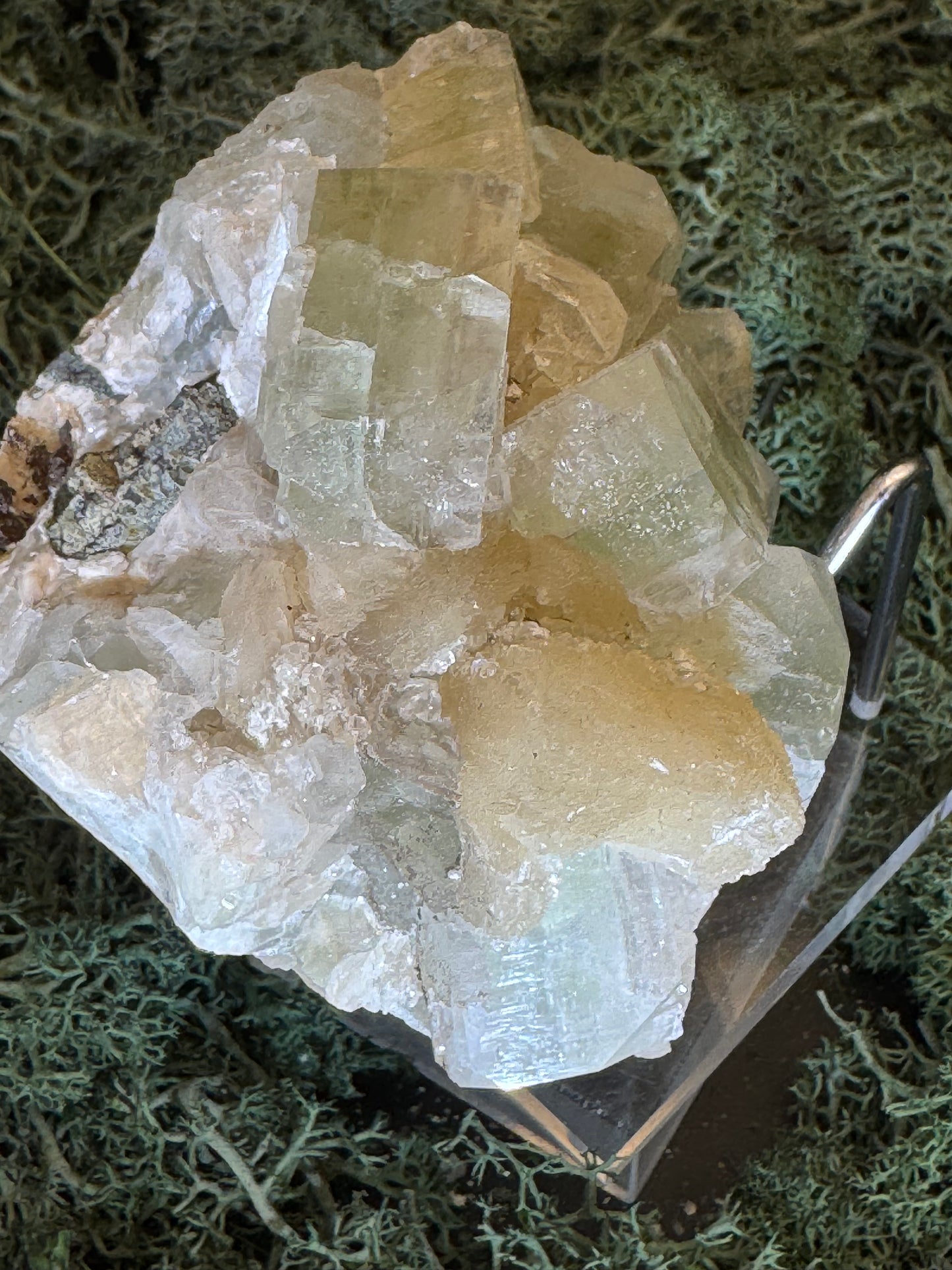 Grüner Apophyllit mit Stilbit Cluster aus Maharashtra, Nashik pune, Indien (348g) - Zuckerstilbit - crystal paradise