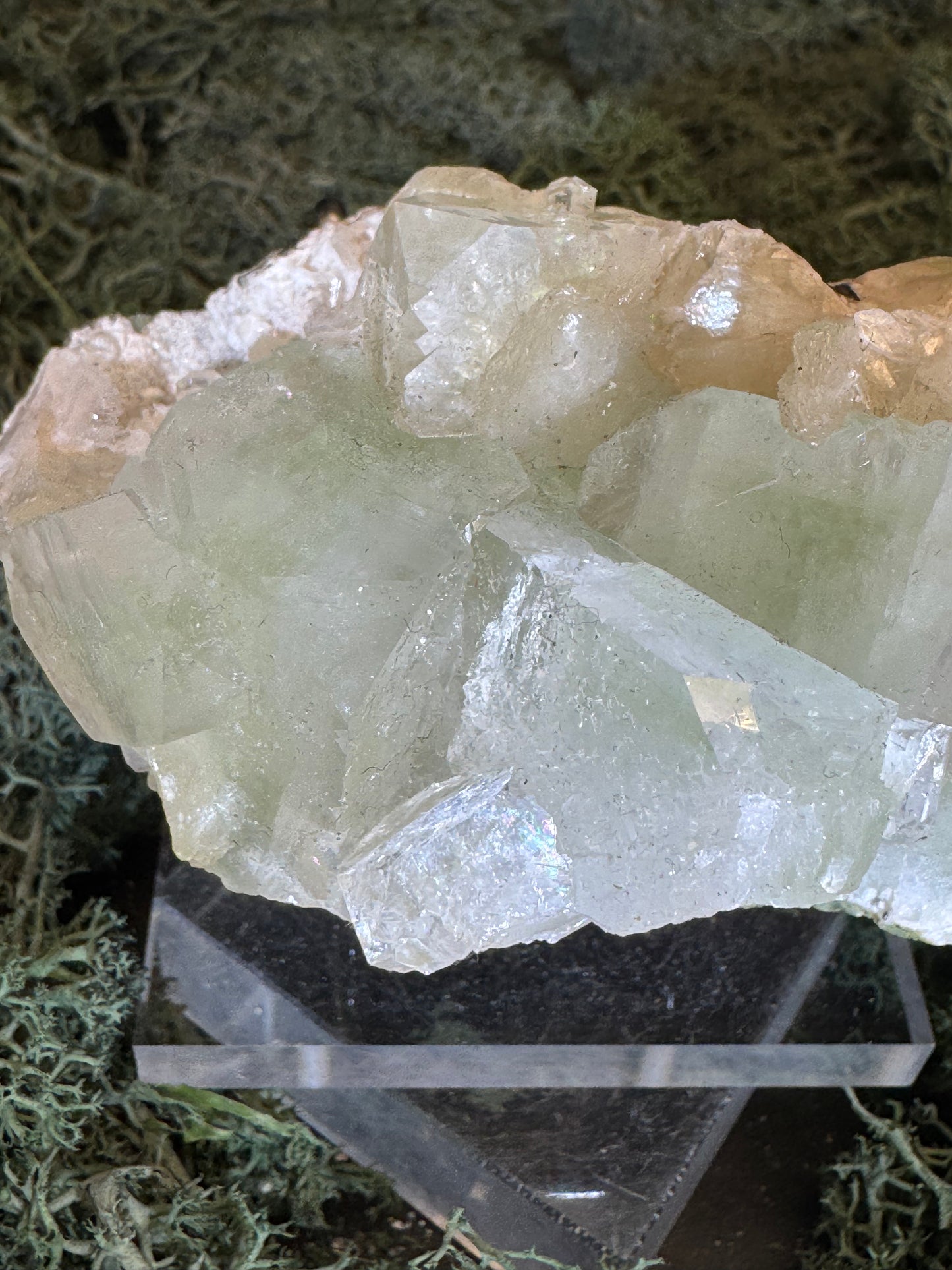 Grüner Apophyllit mit Stilbit Cluster aus Maharashtra, Nashik pune, Indien (231g) - große Kristalle