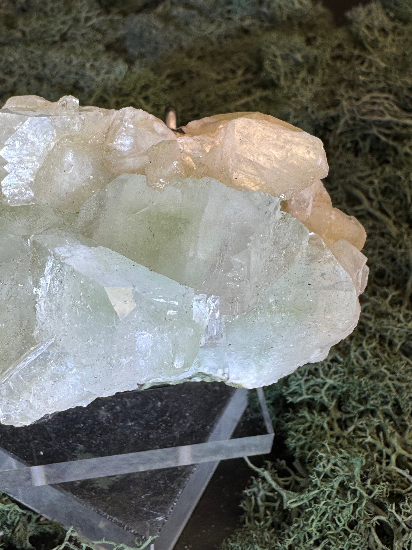 Grüner Apophyllit mit Stilbit Cluster aus Maharashtra, Nashik pune, Indien (231g) - große Kristalle