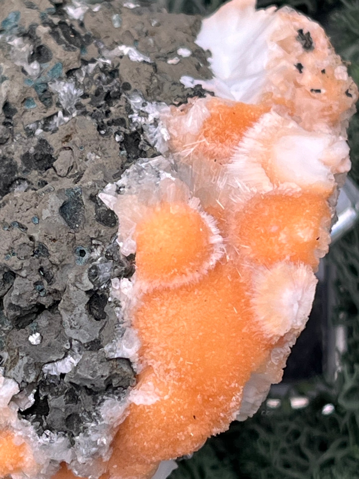 Thomsonit aus Indien (199g) - Stufe - leuchtend orange Farbe - viele Kugeln auf Muttergestein - crystal paradise