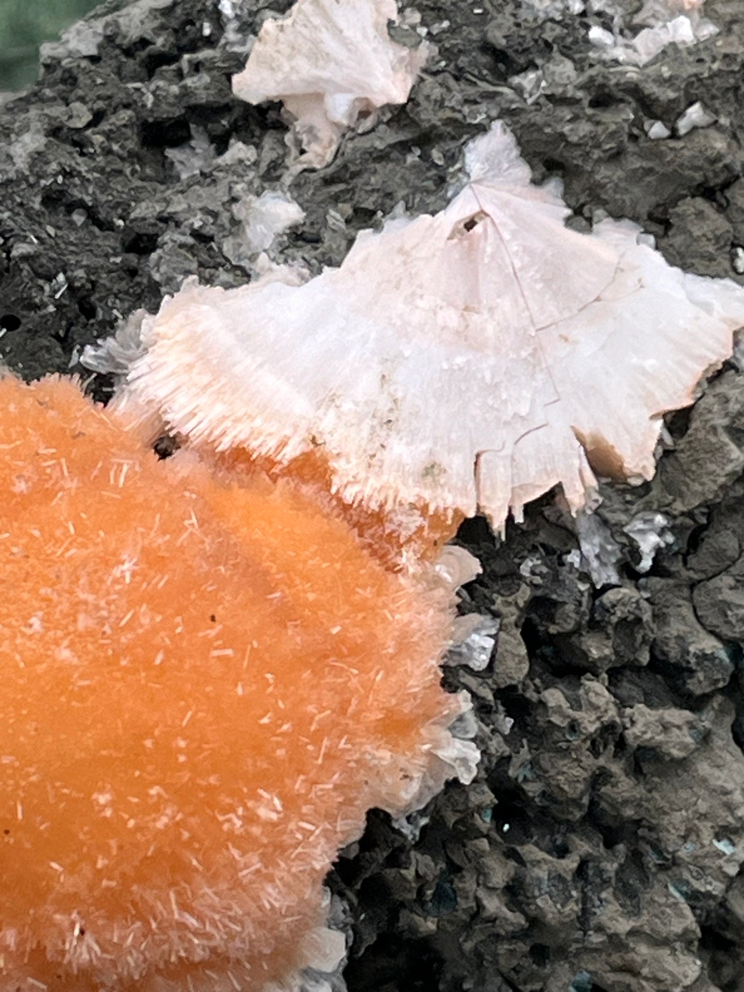Thomsonit aus Indien (235g) - Stufe - leuchtend orange Farbe - Kugel auf Muttergestein - crystal paradise
