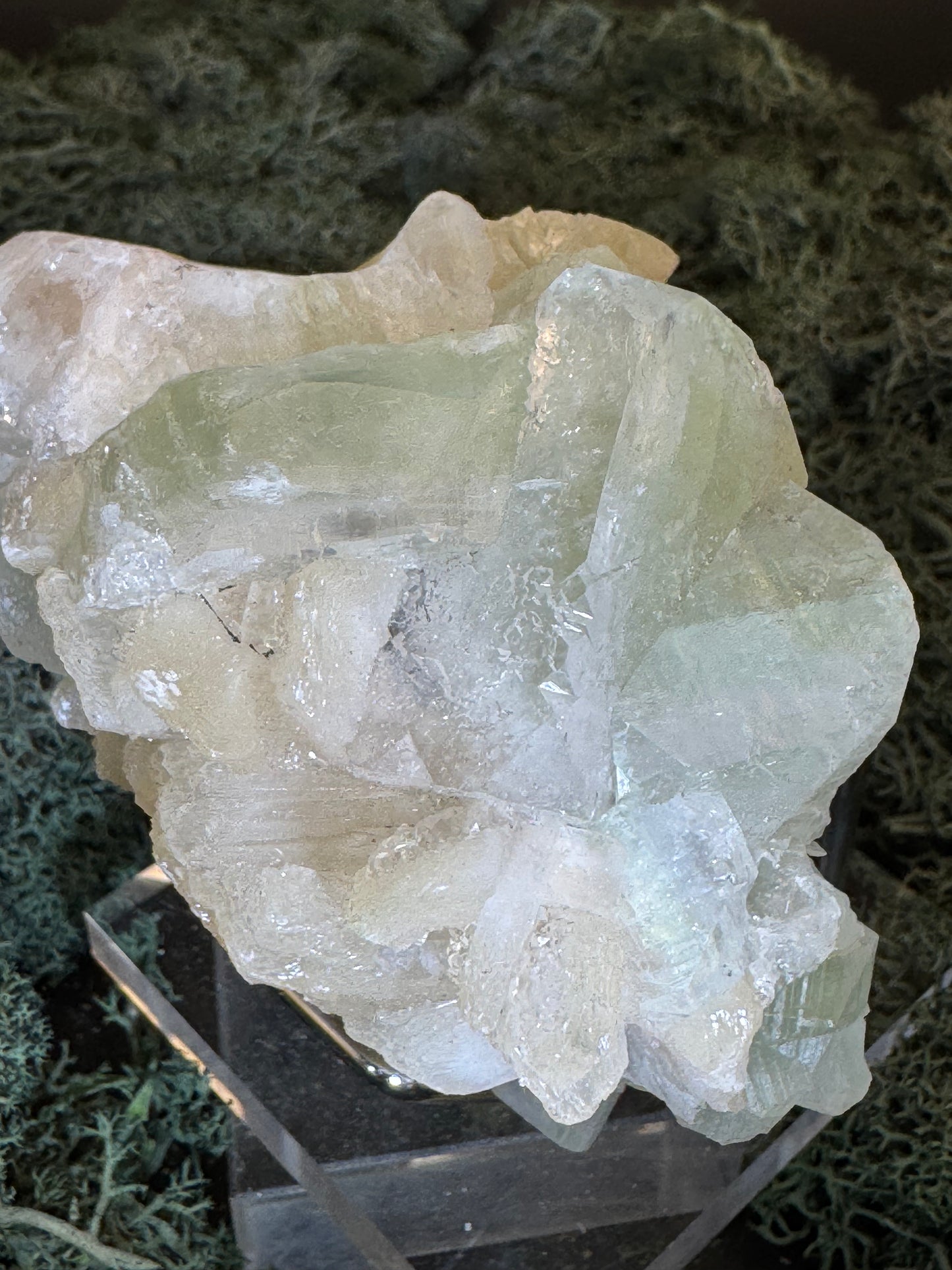 Grüner Apophyllit mit Stilbit Cluster aus Maharashtra, Nashik pune, Indien (337g) - große grüne Würfel - crystal paradise