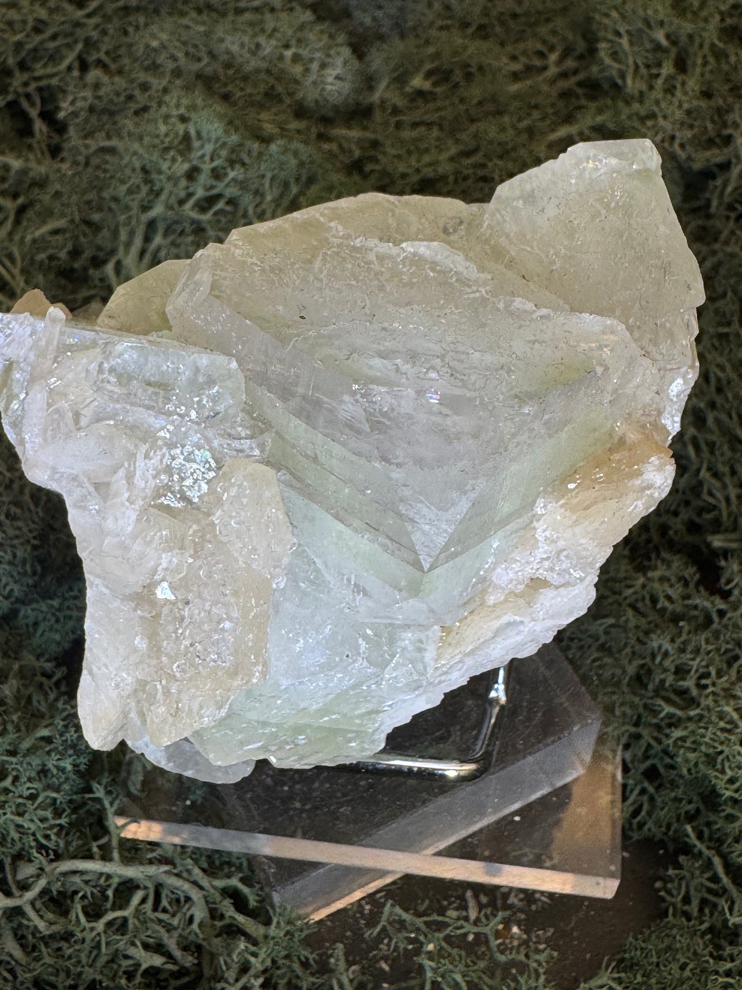 Grüner Apophyllit mit Stilbit Cluster aus Maharashtra, Nashik pune, Indien (213g) - große grüne Würfel - crystal paradise