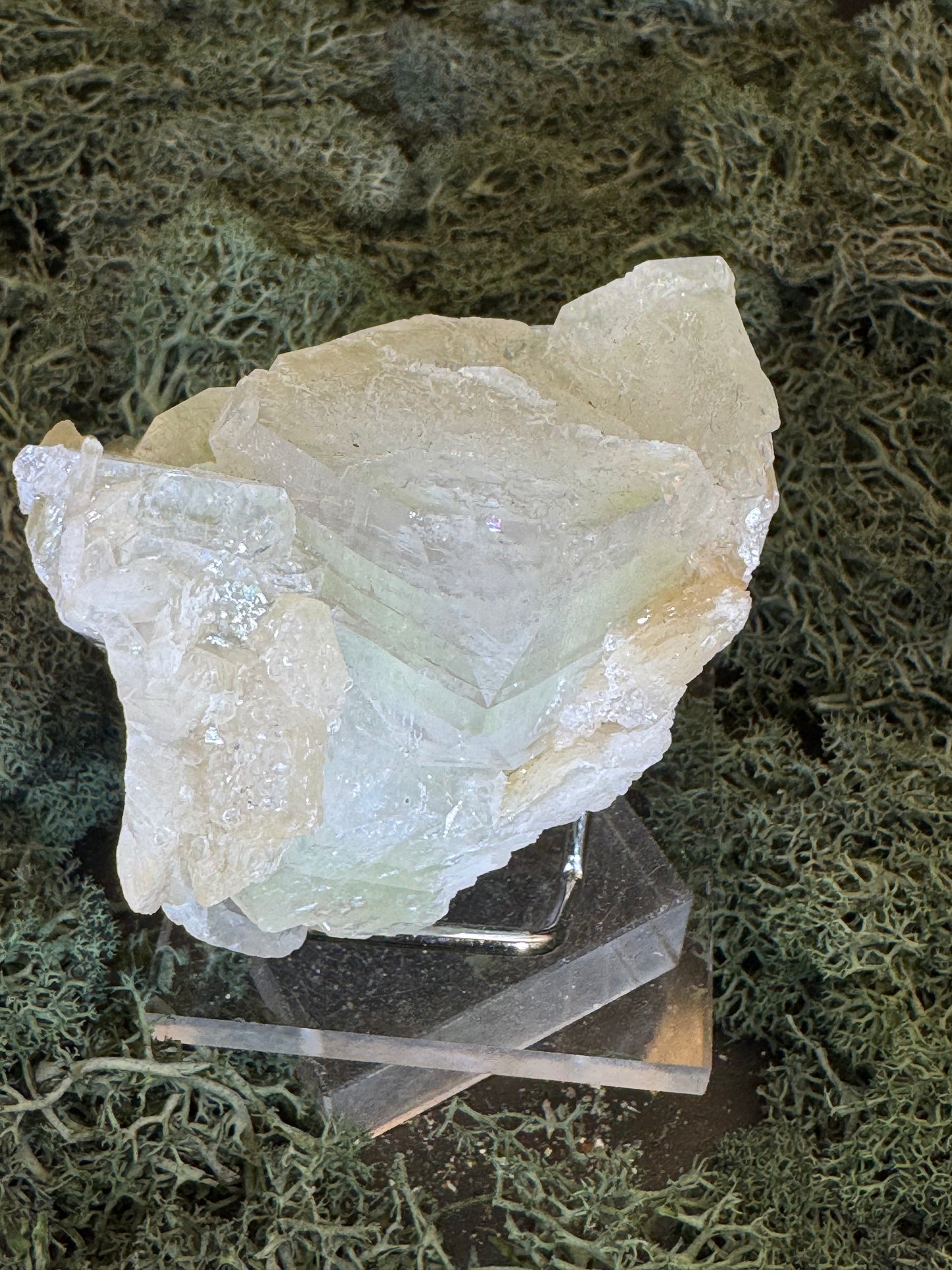 Grüner Apophyllit mit Stilbit Cluster aus Maharashtra, Nashik pune, Indien (213g) - große grüne Würfel - crystal paradise