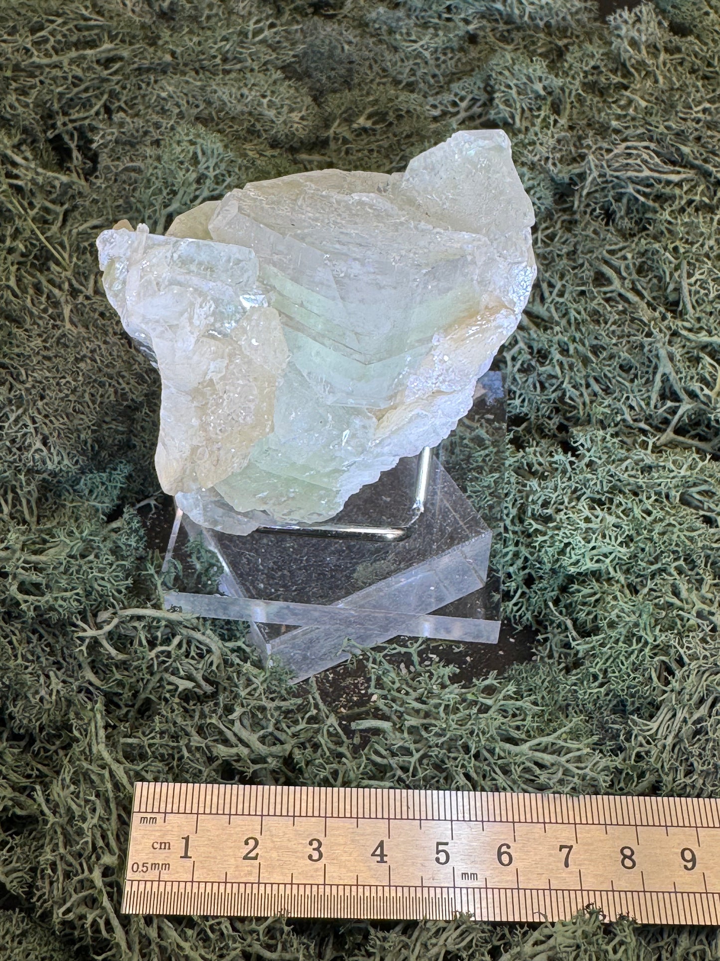 Grüner Apophyllit mit Stilbit Cluster aus Maharashtra, Nashik pune, Indien (213g) - große grüne Würfel - crystal paradise