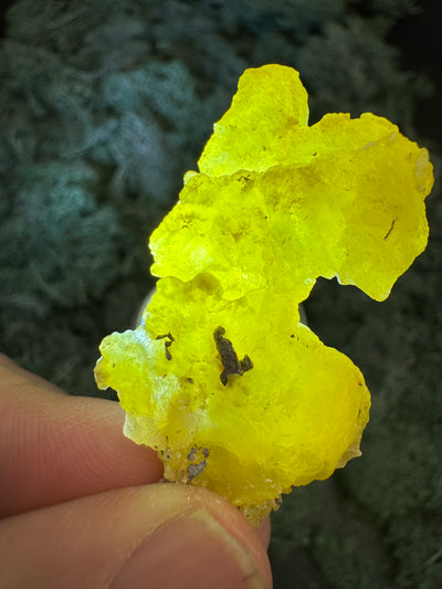 Brucit aus Kharan, Pakistan (8g) - leuchtend schönes Gelb - crystal paradise