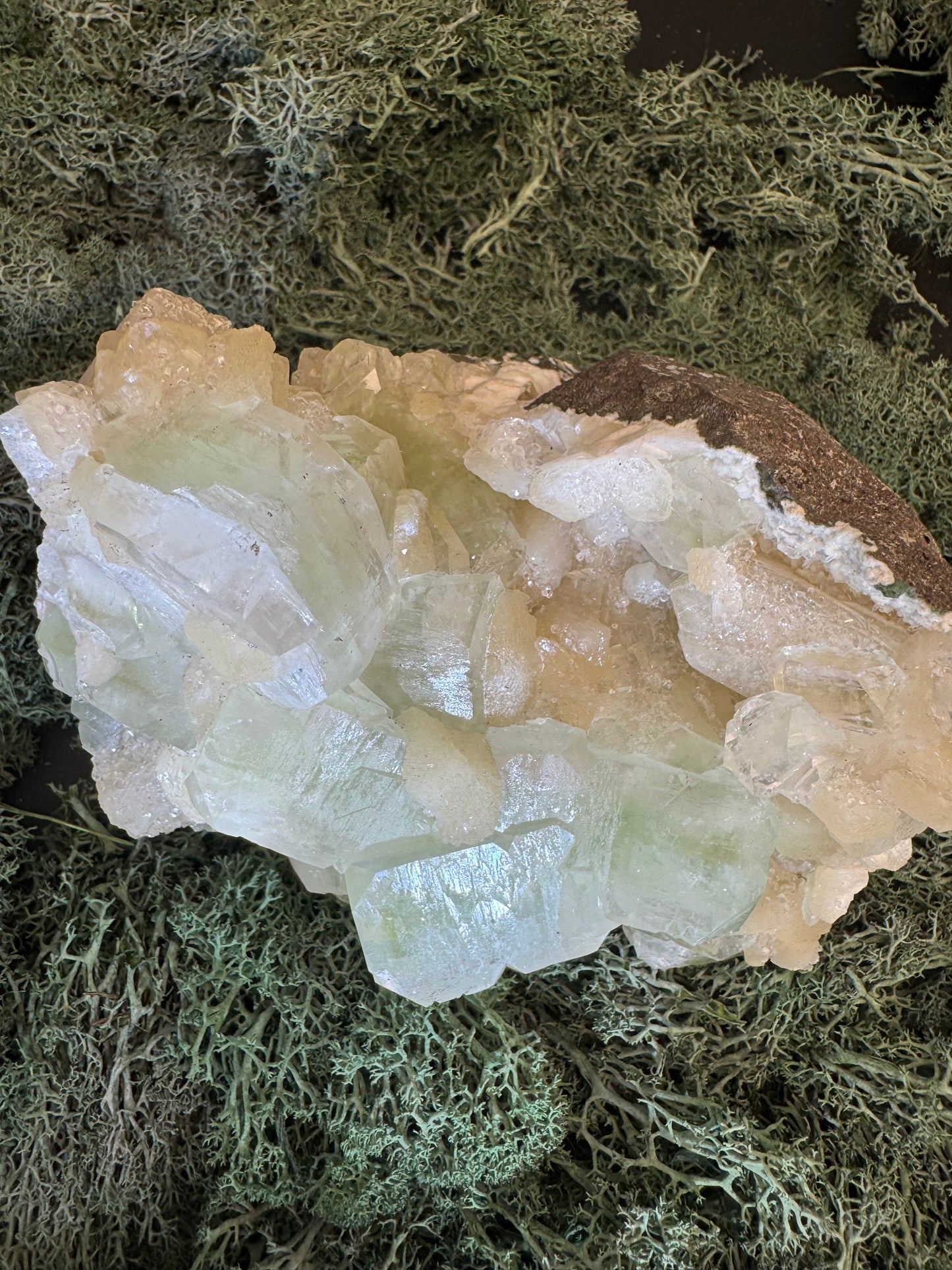 Grüner Apophyllit mit Stilbit Cluster aus Maharashtra, Nashik pune, Indien (1260g) - große Kristalle - crystal paradise