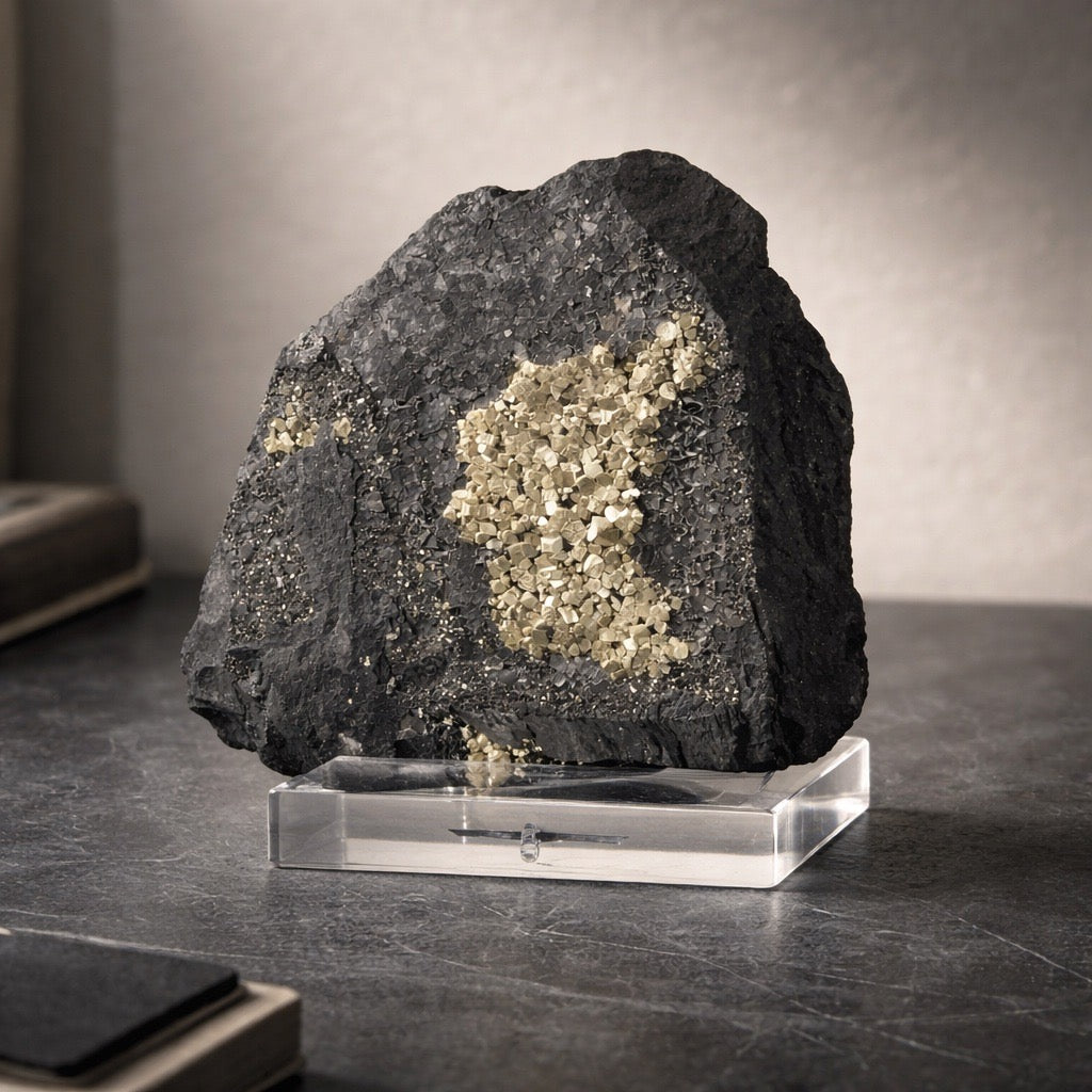 Pyrit auf Shungit aus Brasilien (147g) - crystal paradise