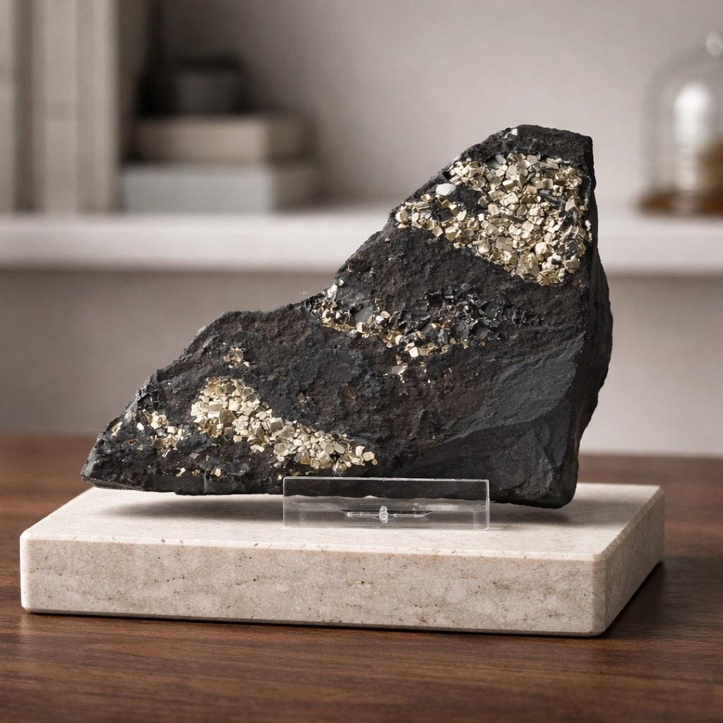 Pyrit auf Shungit aus Brasilien (188g) - crystal paradise