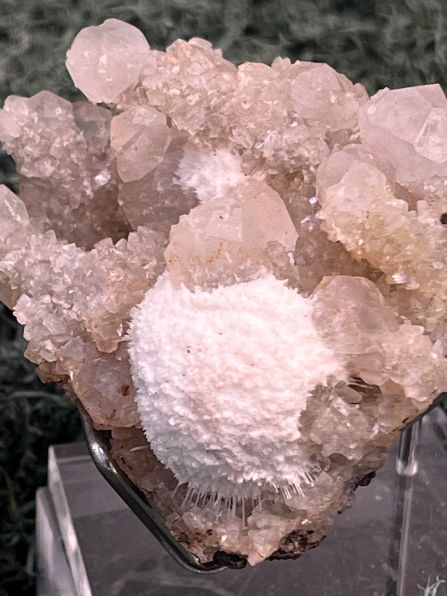 Okenit auf Apophyllit Cluster (Stufe) aus Indien (88g) - sehr schöne Kristallbildungen - crystal paradise