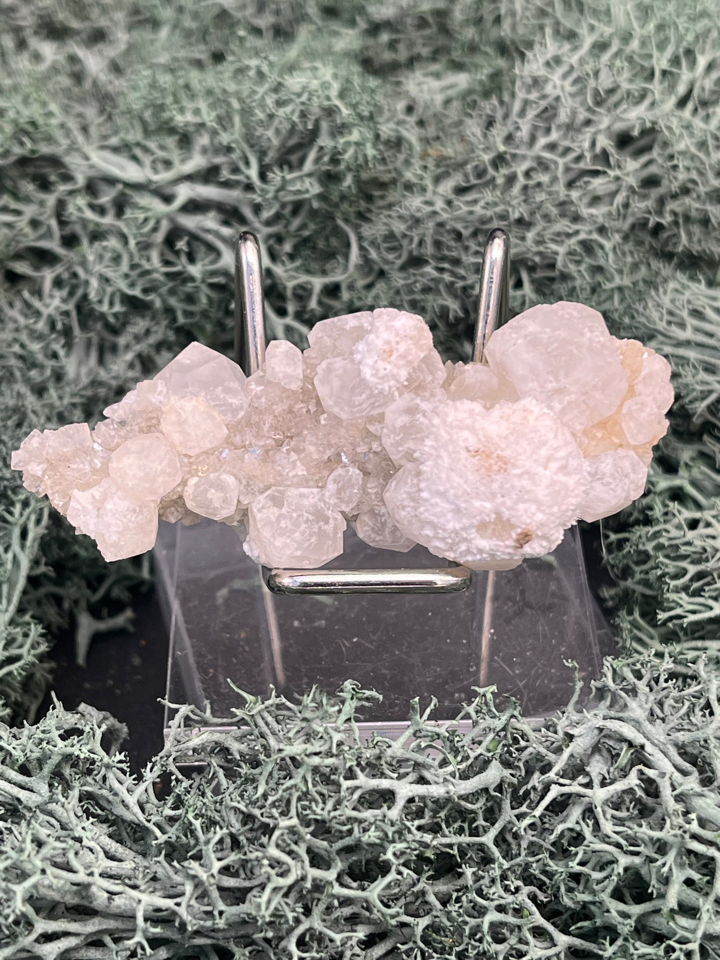 Okenit auf Apophyllit Cluster (Stufe) aus Indien (33g) - sehr schöne Kristallbildungen - crystal paradise