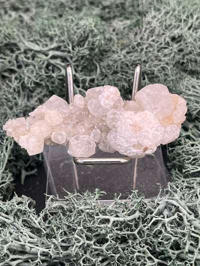 Okenit auf Apophyllit Cluster (Stufe) aus Indien (33g) - sehr schöne Kristallbildungen - crystal paradise