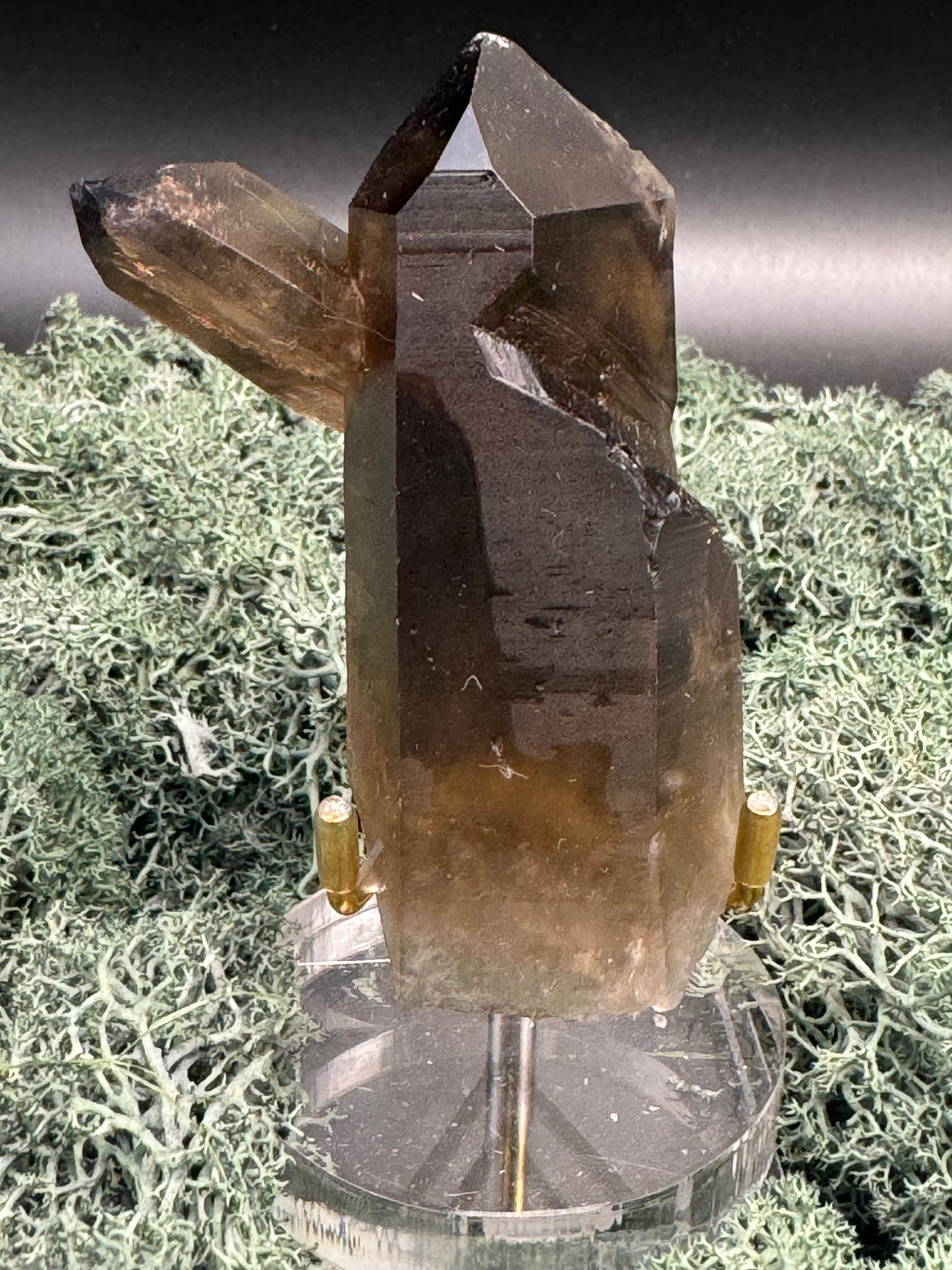 Rauchquarz Handstufe aus Brasilien (141g) - schöne dunkle Kristalle - crystal paradise