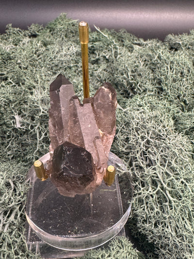 Rauchquarz Stufe aus Brasilien (46g) - schöne Kristalle - crystal paradise