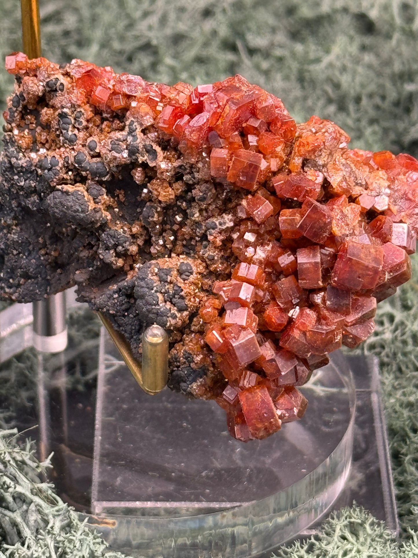 Vanadenit Stufe aus Marokko (202g) - super schöne große rote Kristalle - crystal paradise