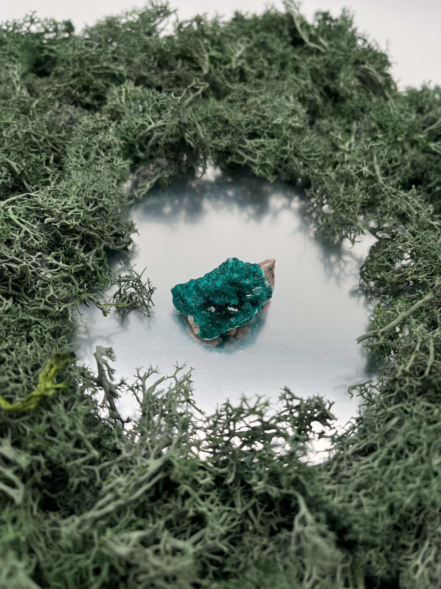 Dioptas aus Mindouli (17g) - exquisites smaragdgrün - crystal paradise
