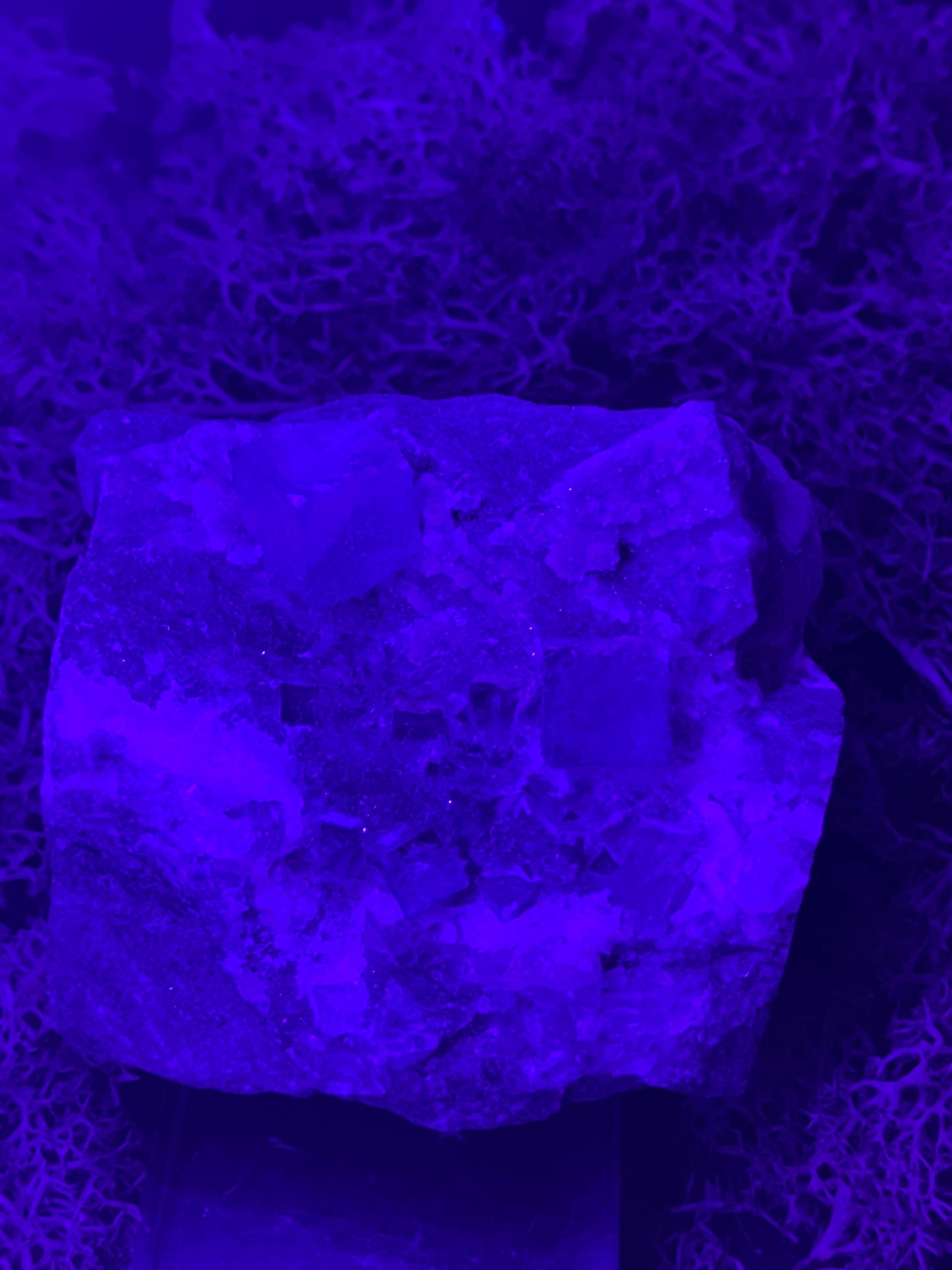 Violetter Fluorit aus Mexiko mit Quarz Anlagerungen (671g) - Grossstufe mit großen Fluoritwürfeln und Phantom - crystal paradise