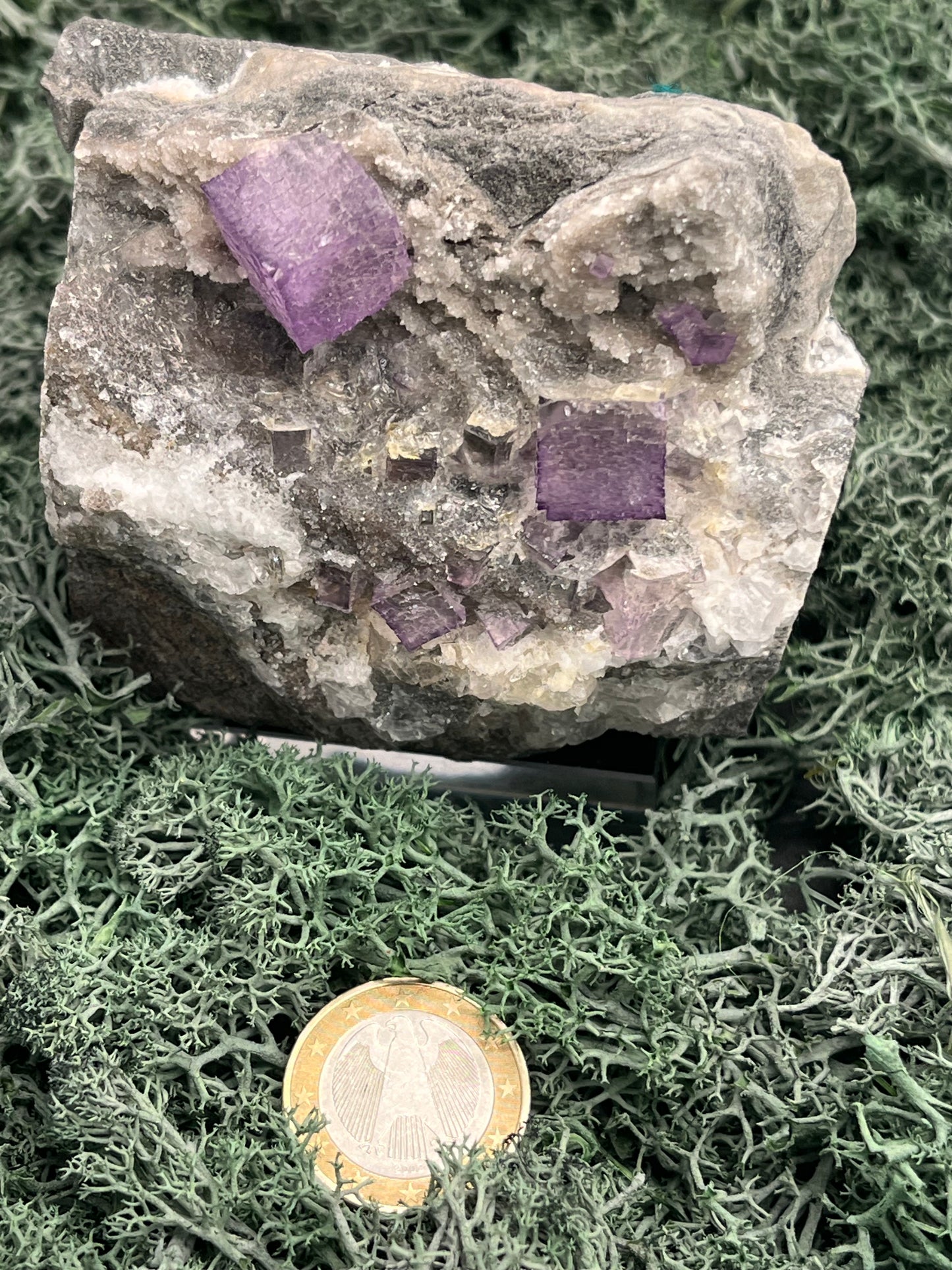 Violetter Fluorit aus Mexiko mit Quarz Anlagerungen (671g) - Grossstufe mit großen Fluoritwürfeln und Phantom - crystal paradise