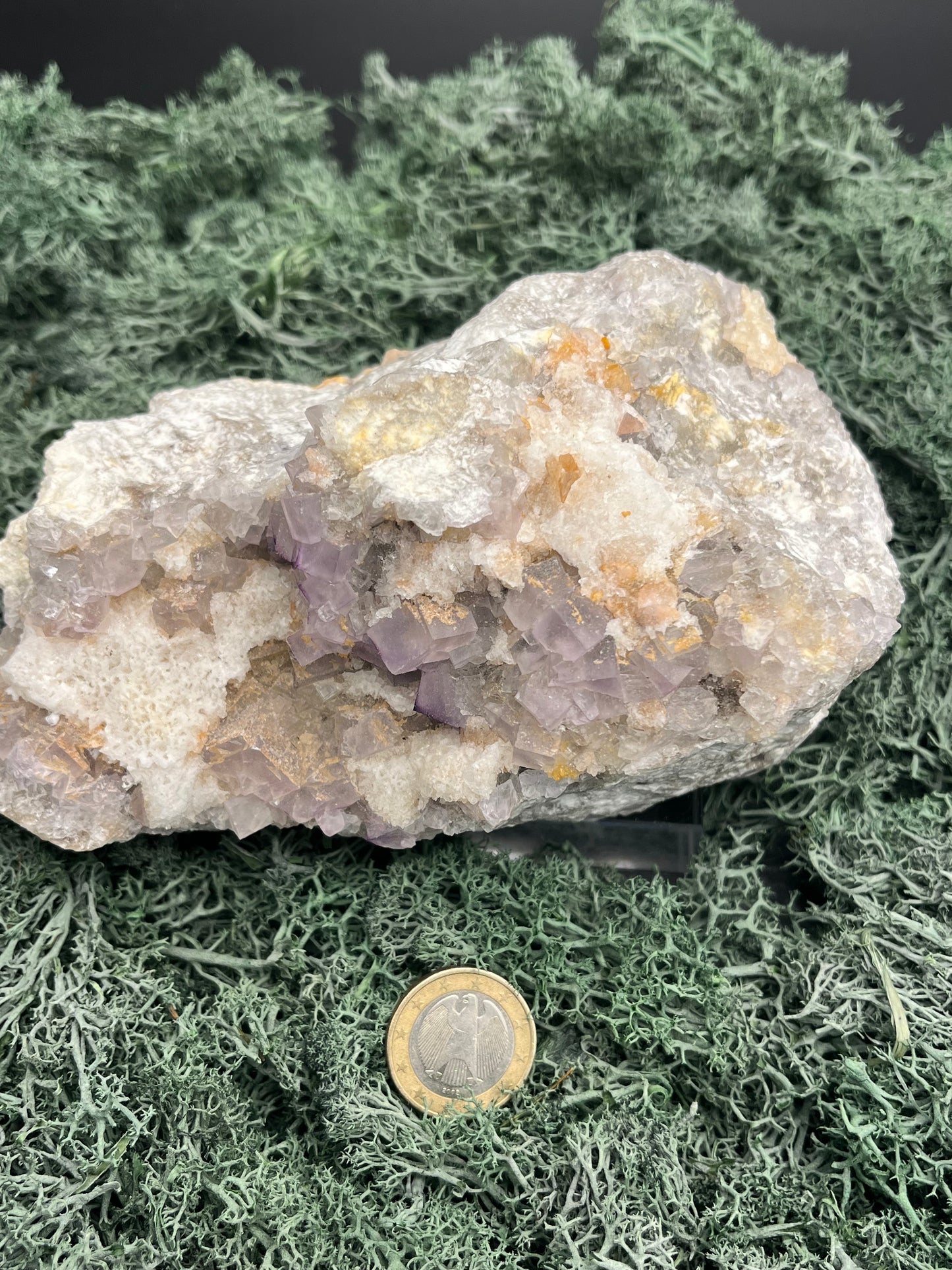 Violetter Fluorit aus Mexiko mit weissen Quarz Anlagerungen (1250g) - Grossstufe mit vielen Fluoritwürfeln - crystal paradise
