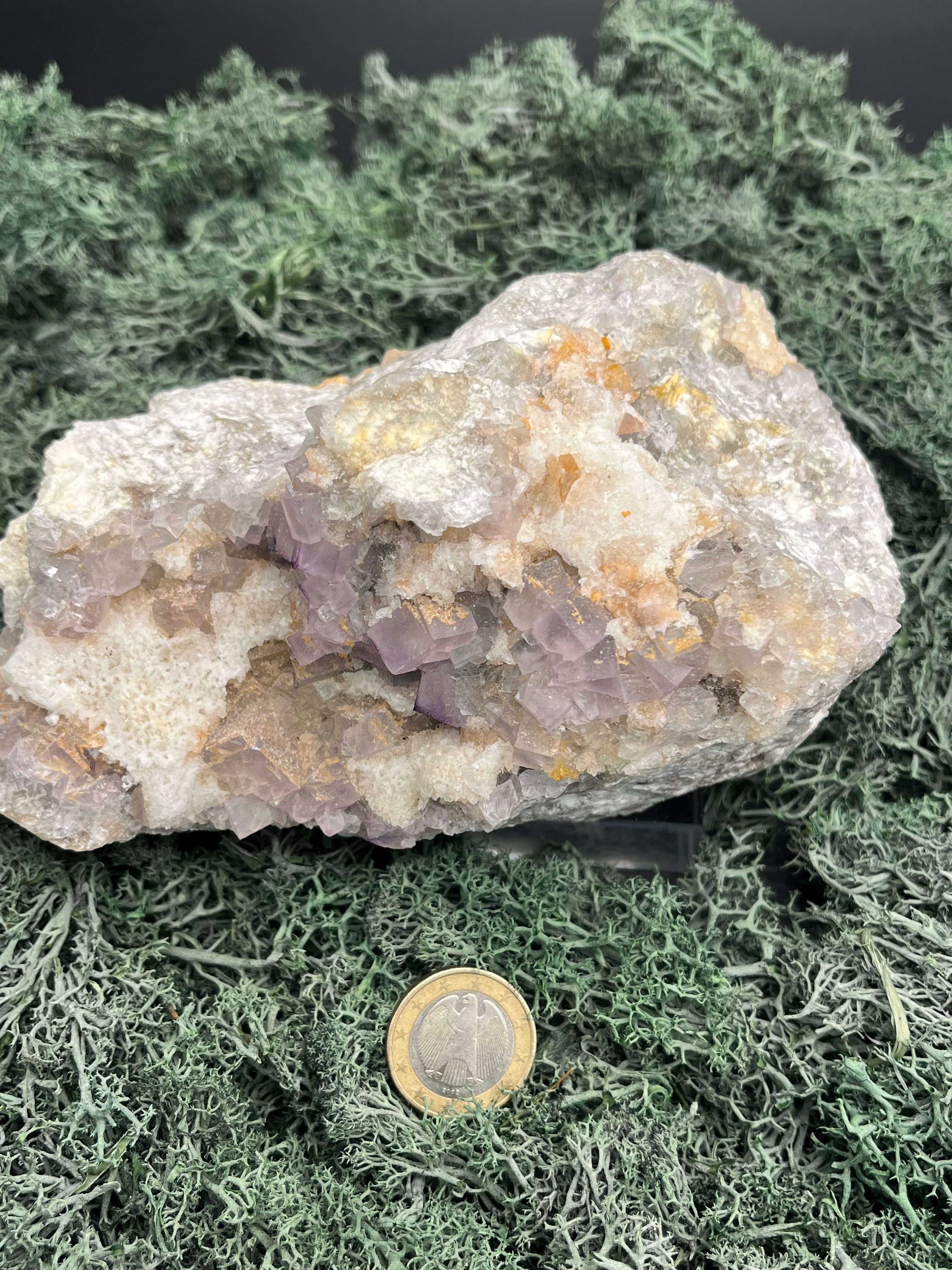 Violetter Fluorit aus Mexiko mit weissen Quarz Anlagerungen (1250g) - Grossstufe mit vielen Fluoritwürfeln - crystal paradise