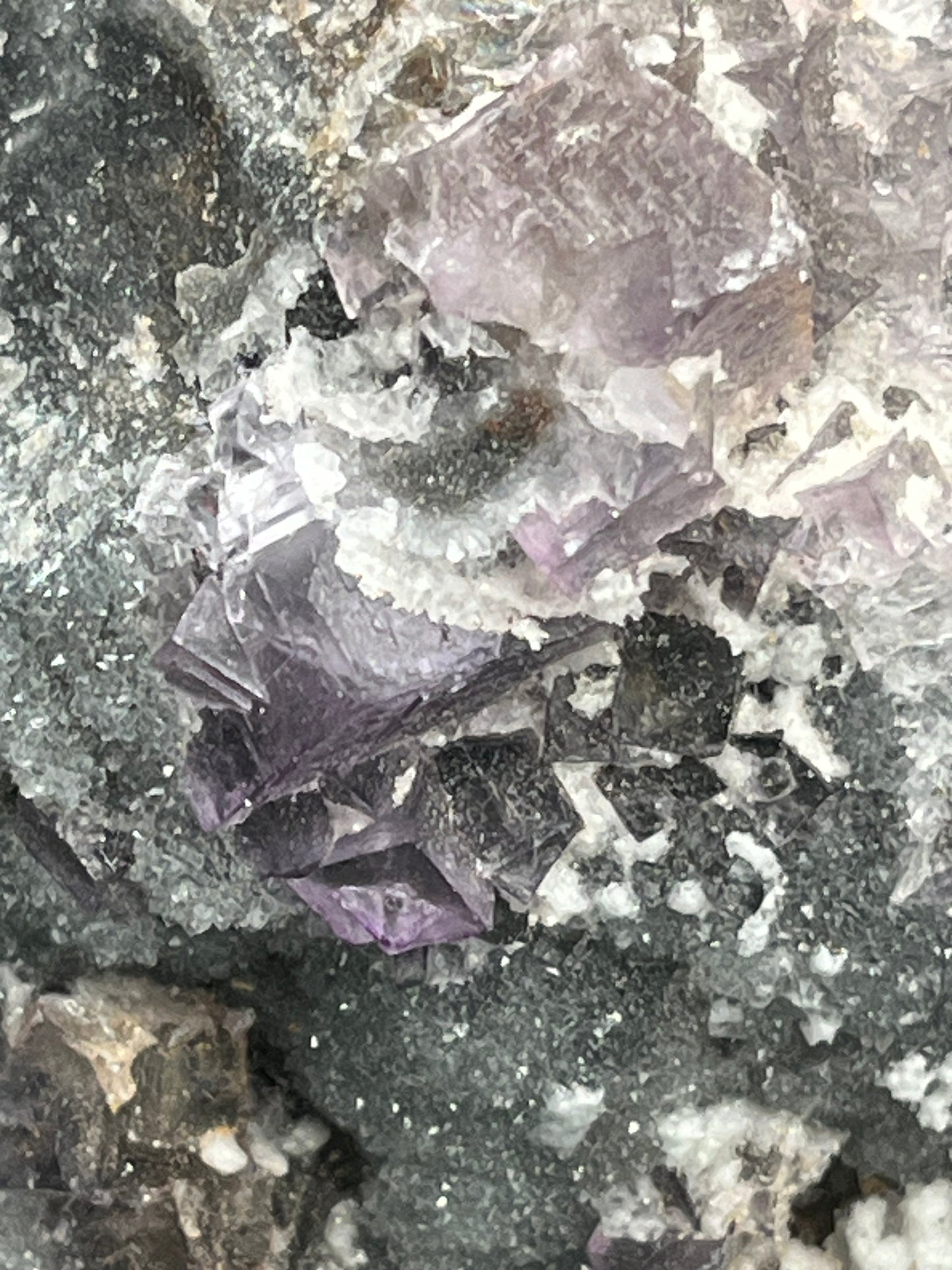 Violetter Fluorit aus Mexiko mit weissen Quarz Anlagerungen (957g) - Grossstufe mit vielen Fluoritwürfeln - crystal paradise