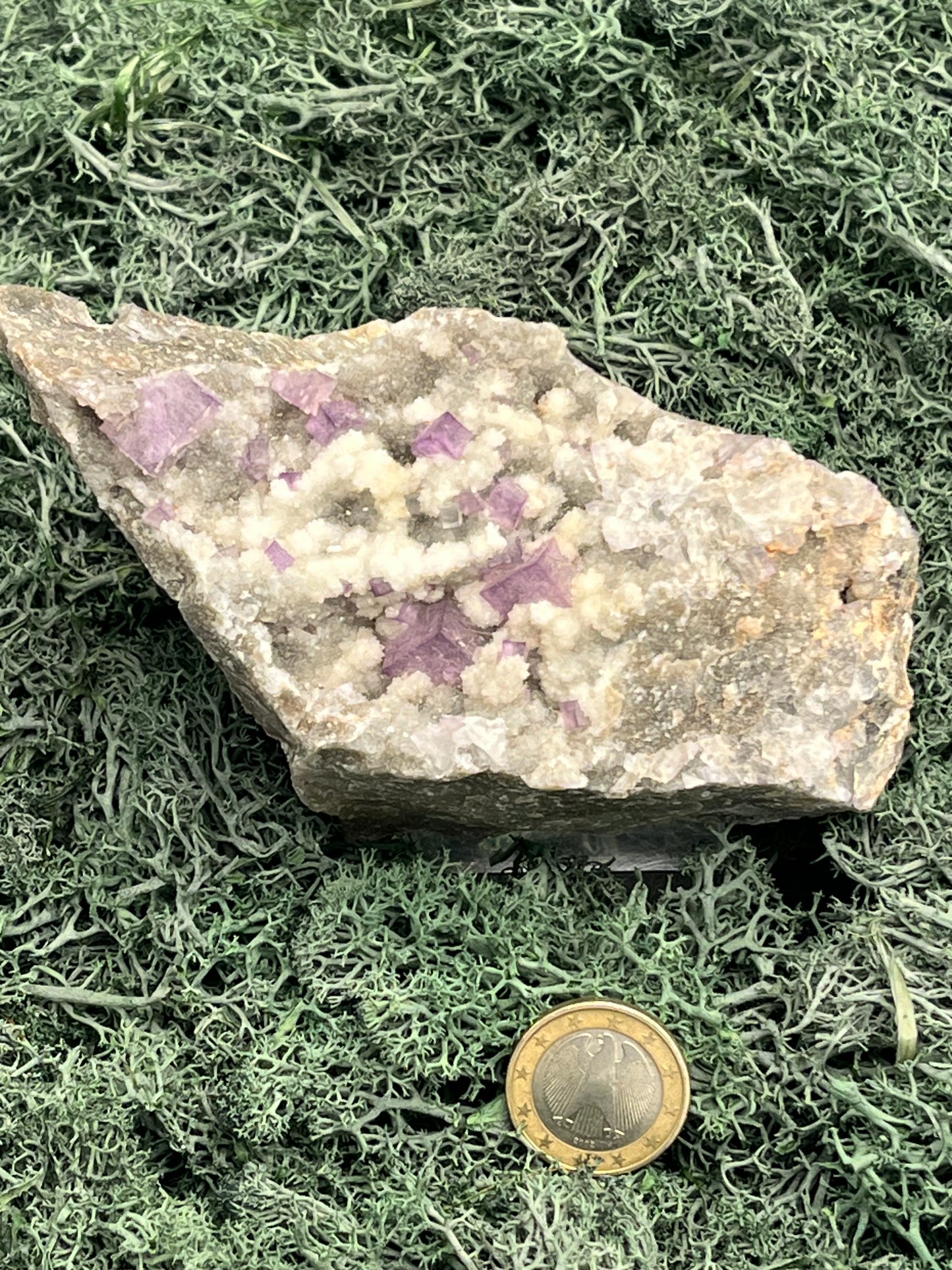Violetter Fluorit aus Mexiko mit weissen Quarz Anlagerungen (593g) - Grossstufe mit vielen Fluoritwürfeln und Quarzblumen - crystal paradise