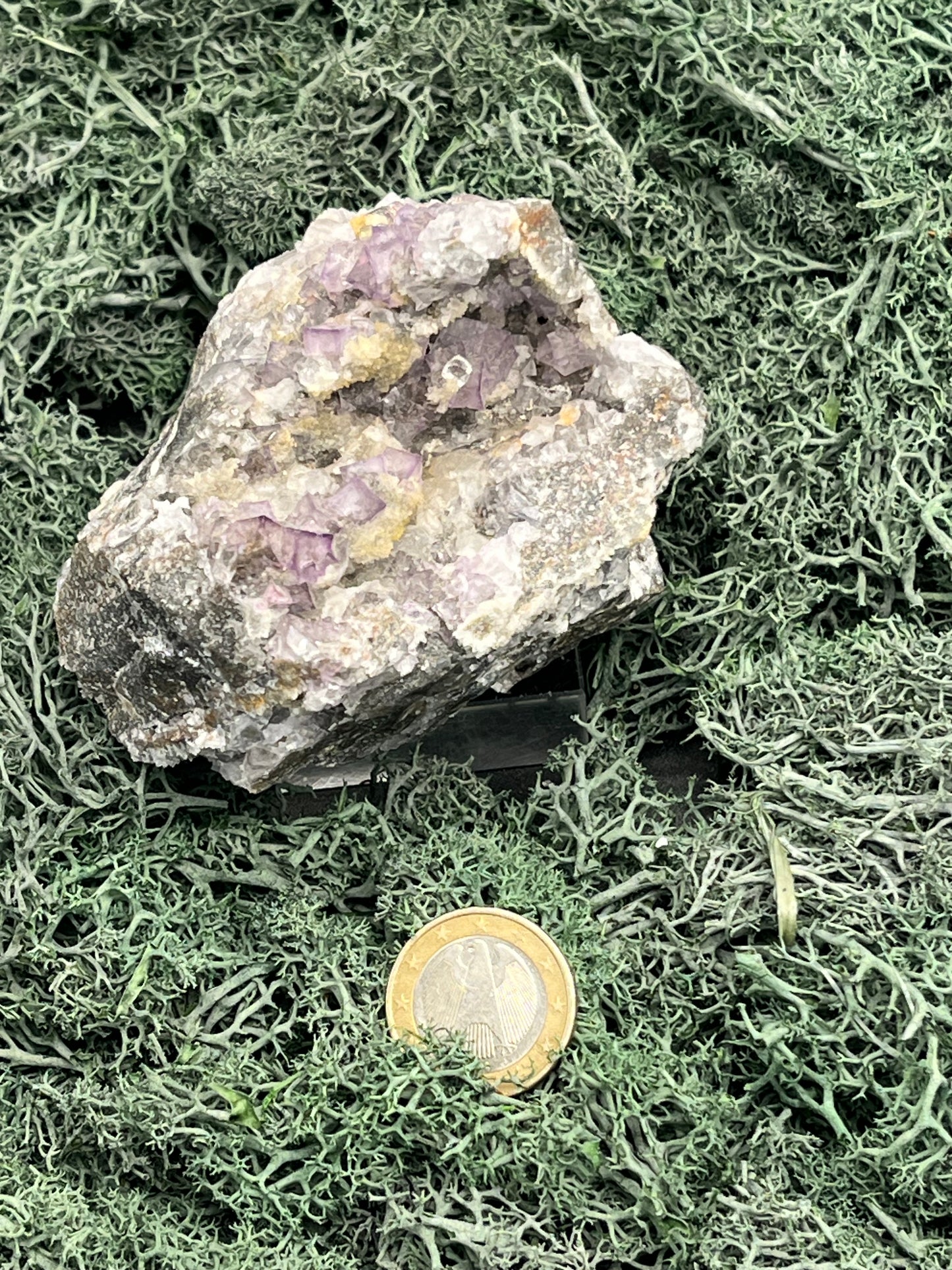 Violetter Fluorit aus Mexiko mit weissen und gelben Quarz Anlagerungen (434g) - Handstufe mit vielen Fluoritwürfeln - crystal paradise