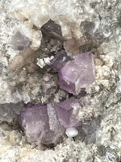Violetter Fluorit aus Mexiko mit weissen Quarz Anlagerungen (667g) - Handstufe mit großen Fluoritwürfeln - crystal paradise