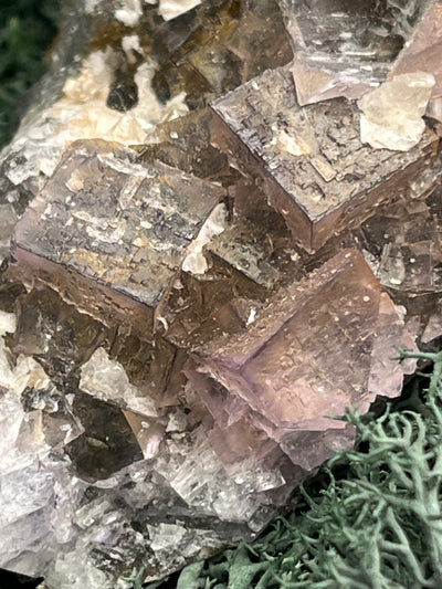Violetter Fluorit aus Mexiko mit weissen und gelben Quarz Anlagerungen (937g) - Grossstufe mit vielen Fluoritwürfeln - crystal paradise