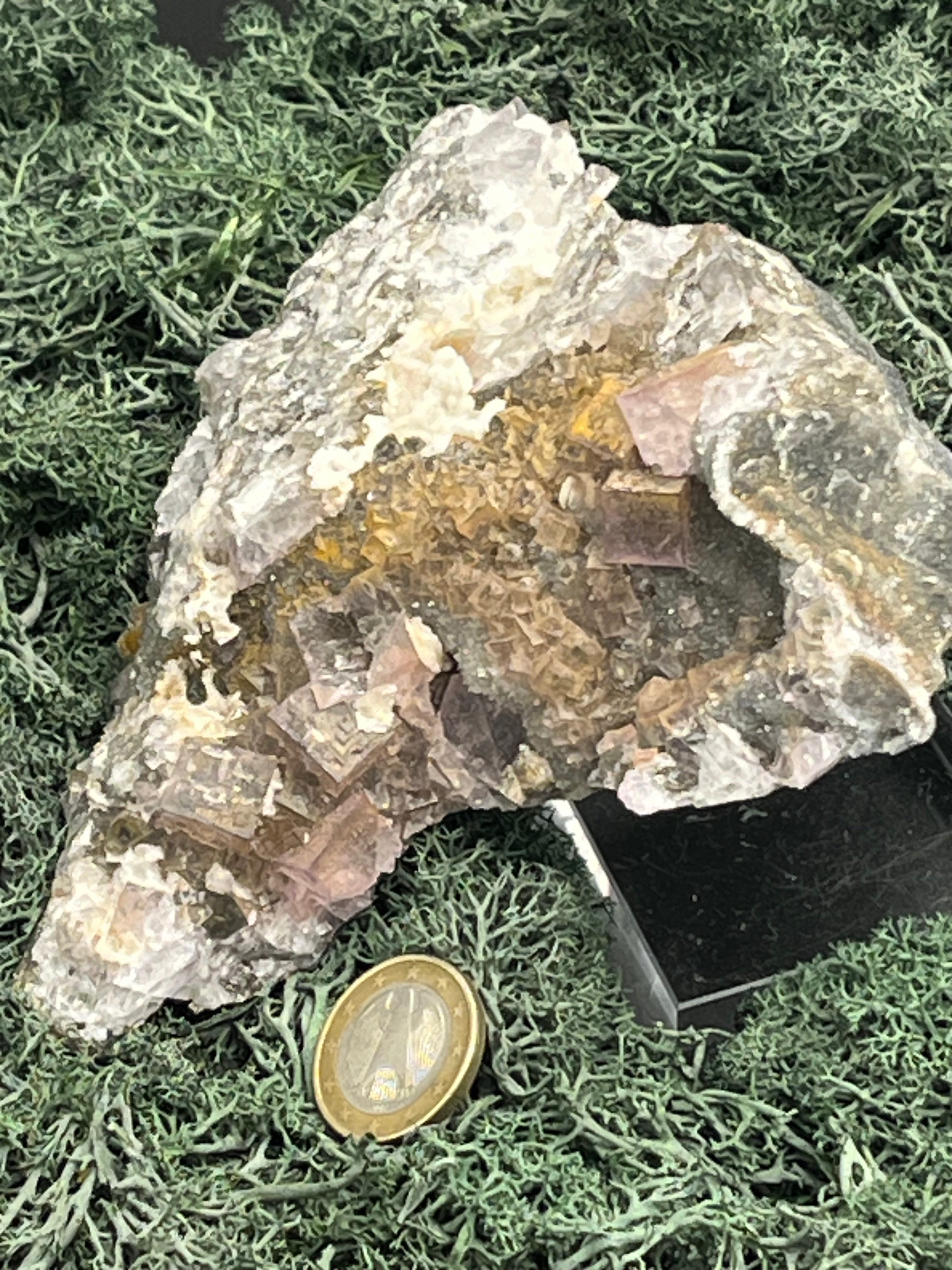 Violetter Fluorit aus Mexiko mit weissen und gelben Quarz Anlagerungen (937g) - Grossstufe mit vielen Fluoritwürfeln - crystal paradise